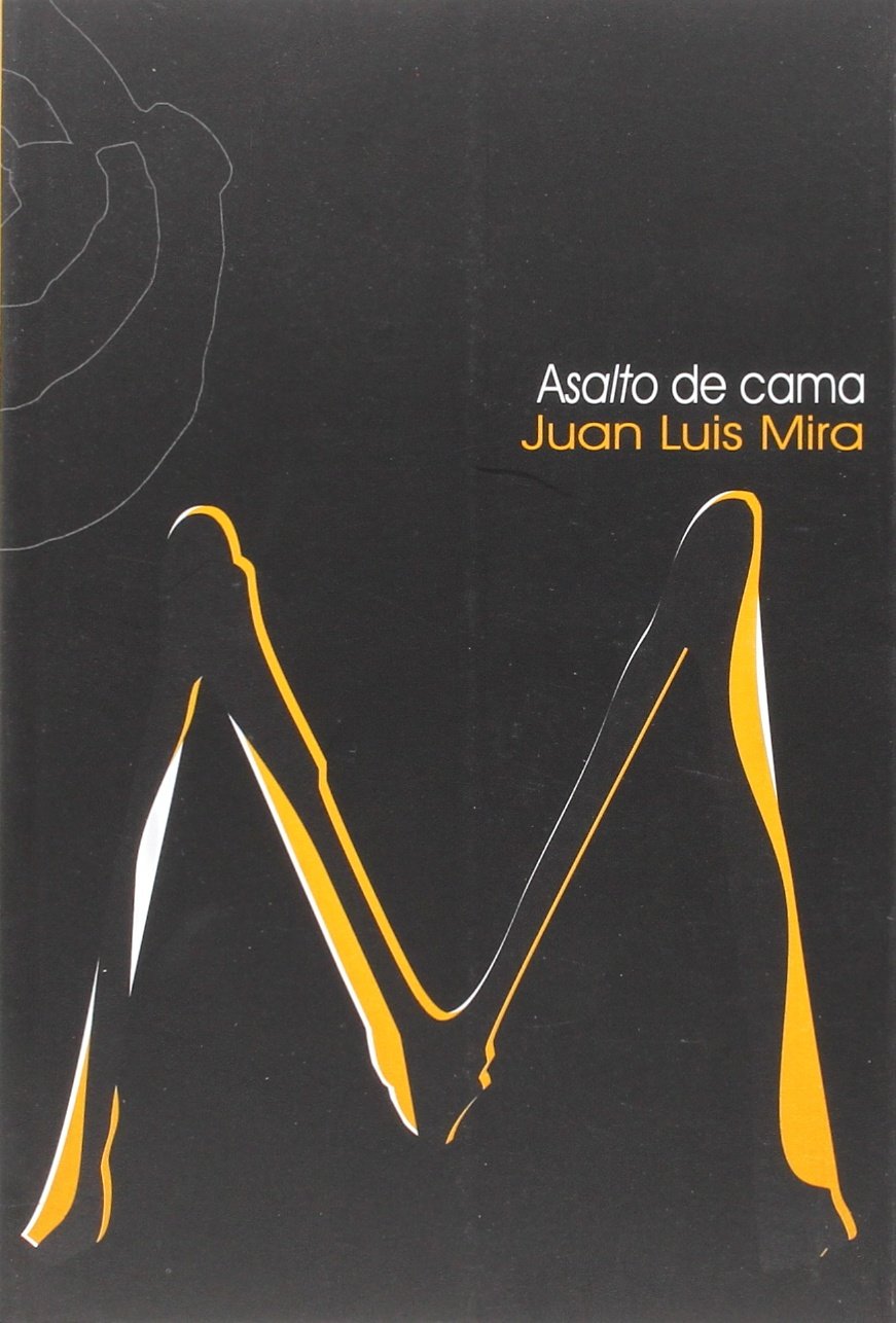 Asalto de cama book