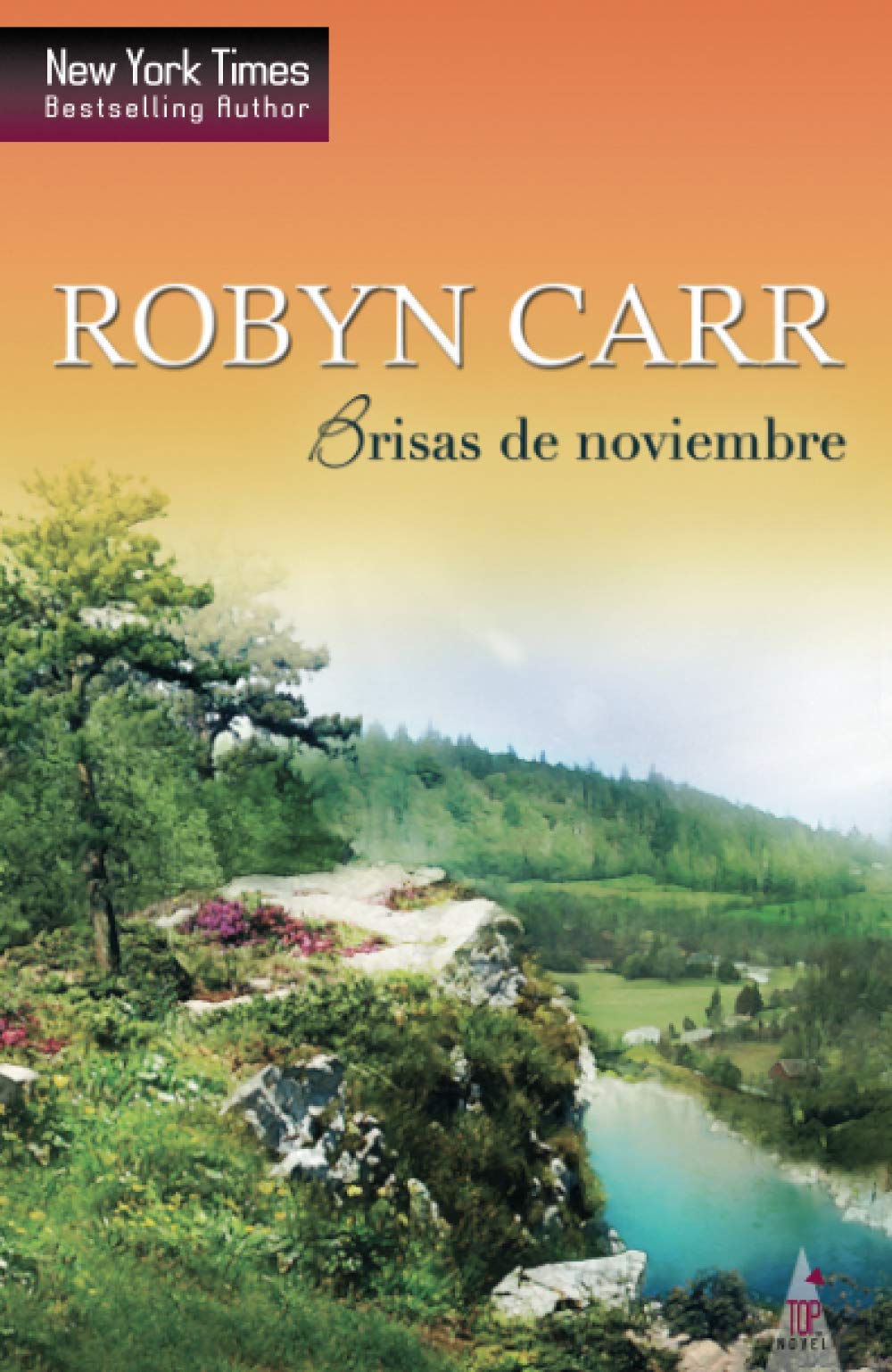 Brisas de noviembre (TOP NOVEL, Band 133) Contemporary literature