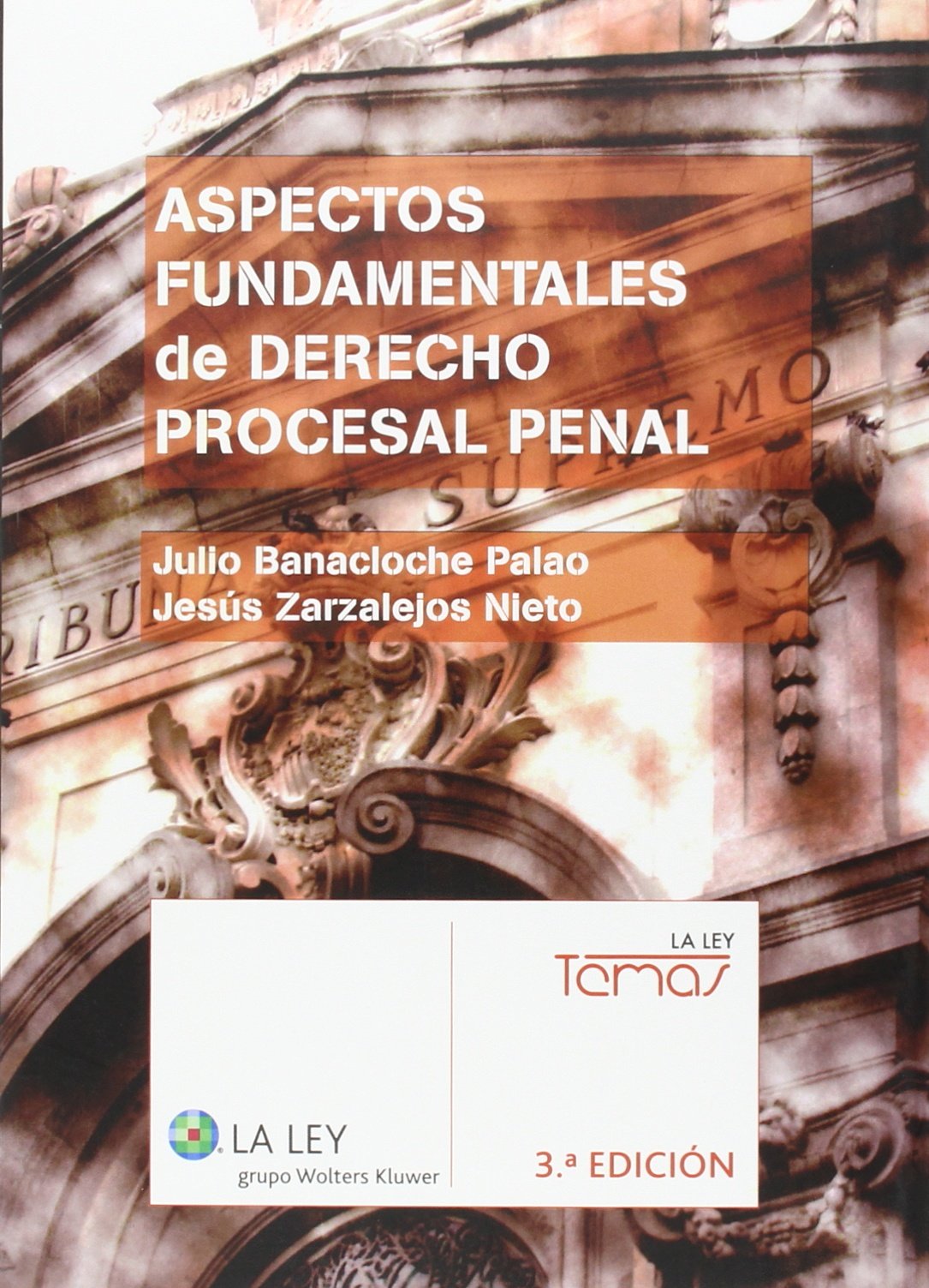 Aspectos fundamentales de Derecho Procesal Penal (3.ª edición) book