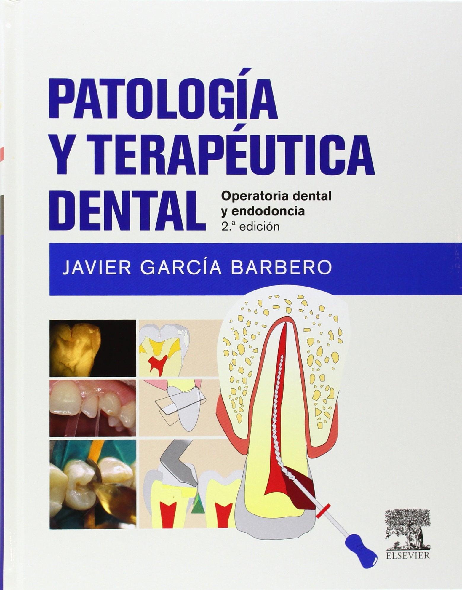 Patología y terapéutica dental: Operatoria dental y endodoncia book
