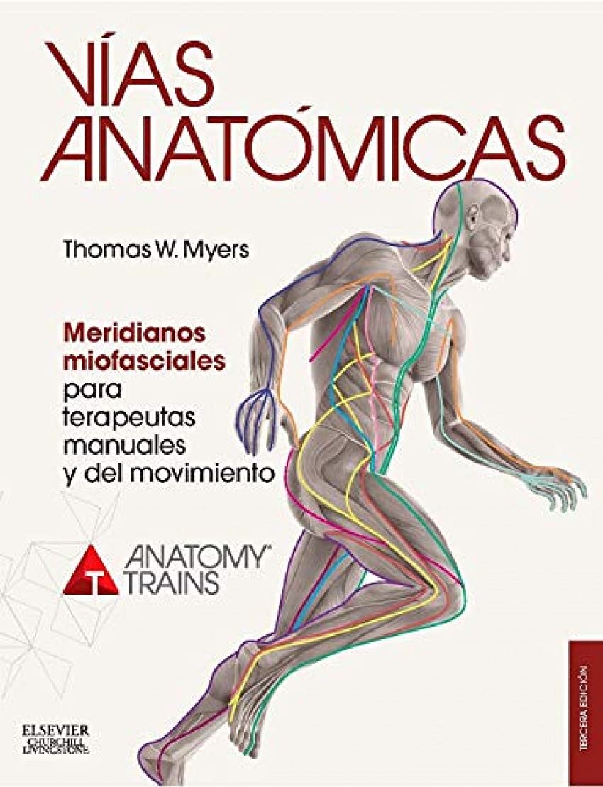 Vías anatómicas : meridianos miofaciales para terapeutas manuales y del movimiento Medicine