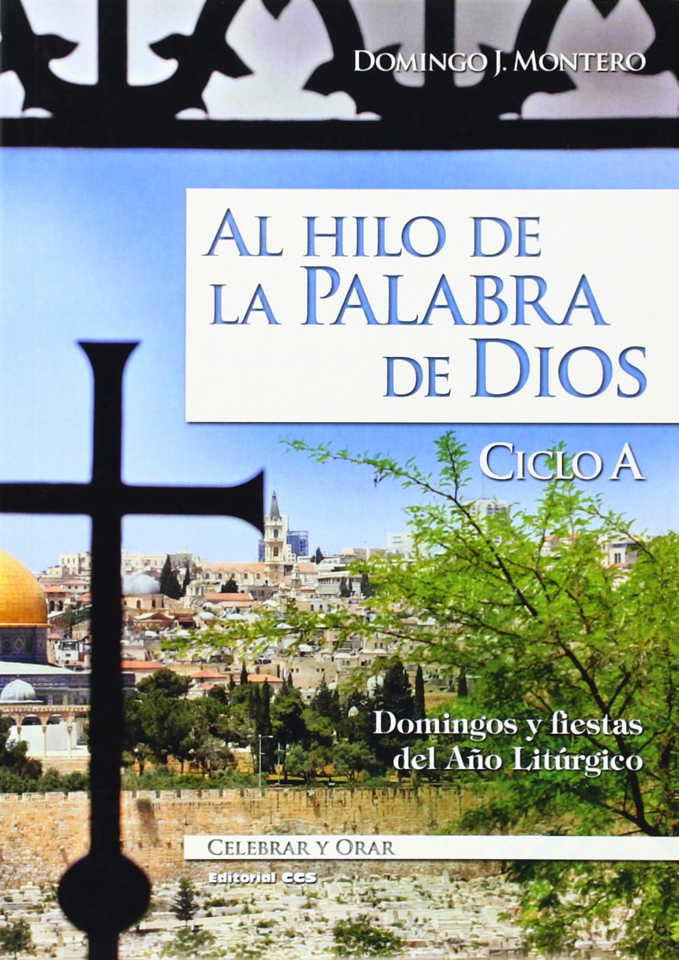 Al hilo de la palabra de Dios : ciclo a : domingos y fiestas del año litúrgico (Celebrar y orar, Band 82) Religion & Esotericism