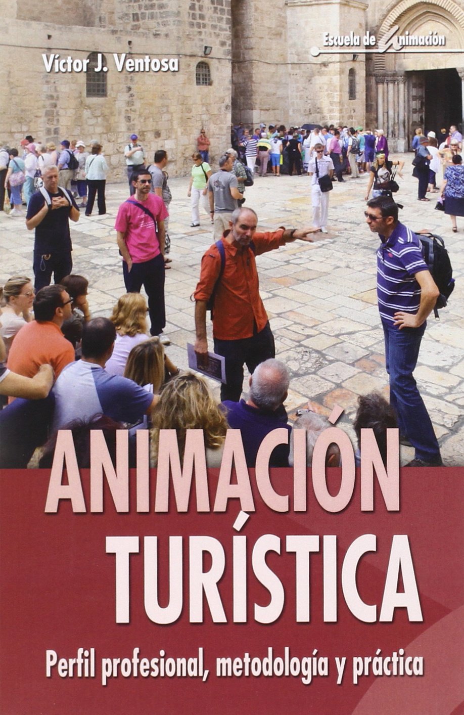 Animación turística: Perfil profesional, metodología y práctica book
