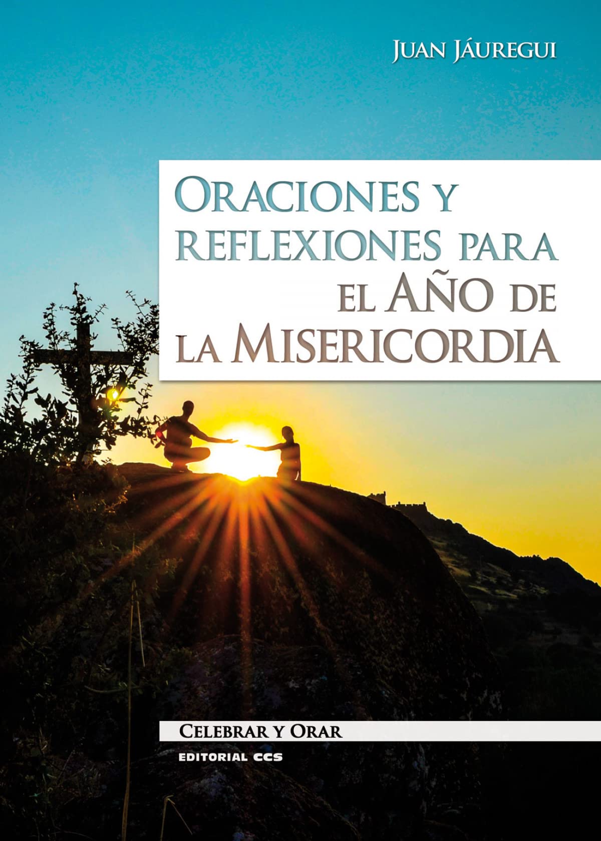 Oraciones y reflexiones para el Año de la Misericordia (Celebrar y orar, Band 94) Religion & Esotericism