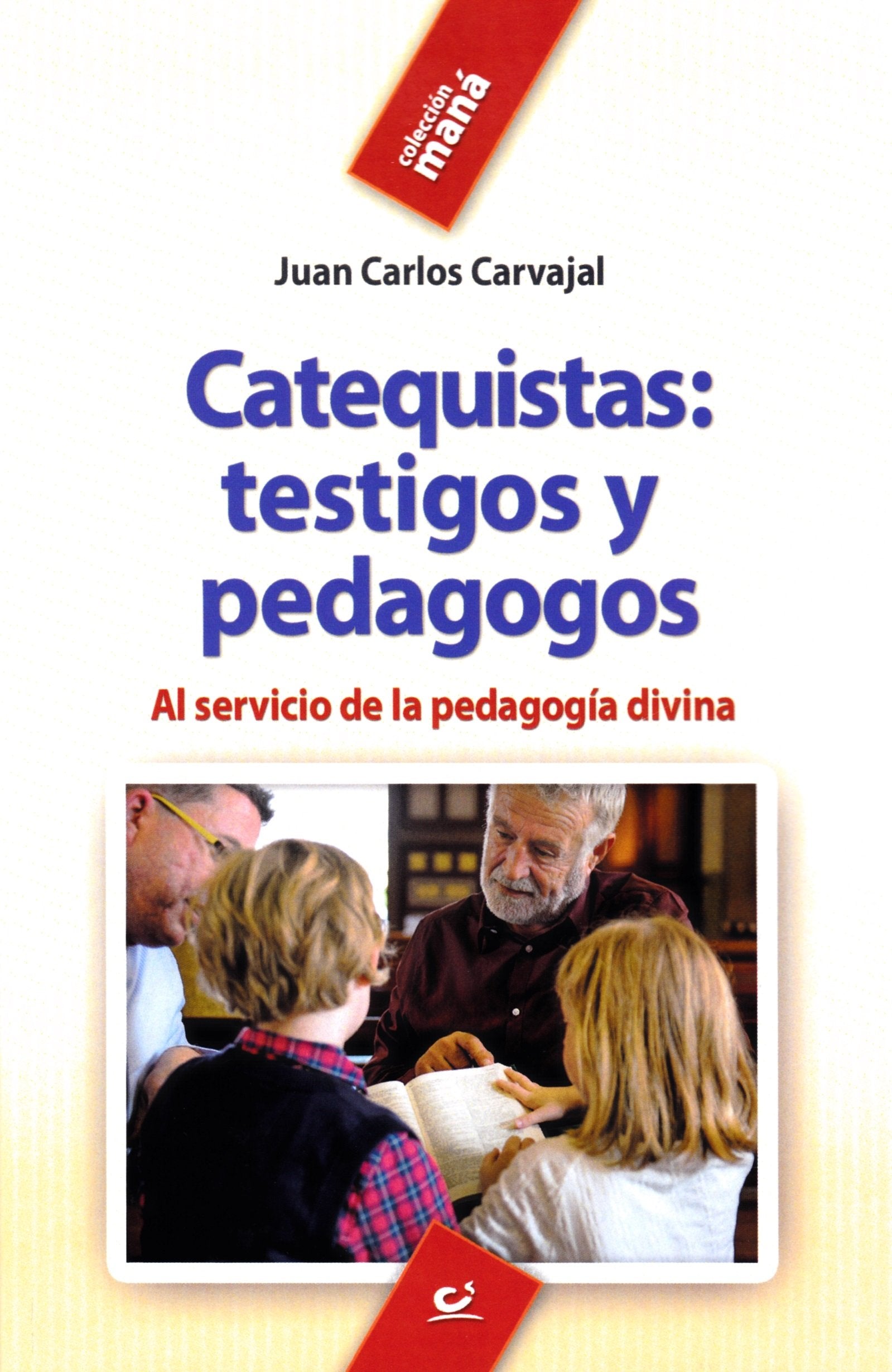 Catequistas : testigos y pedagogos : al servicio de la pedagogía divina (Maná, Band 42) Religion & Esotericism