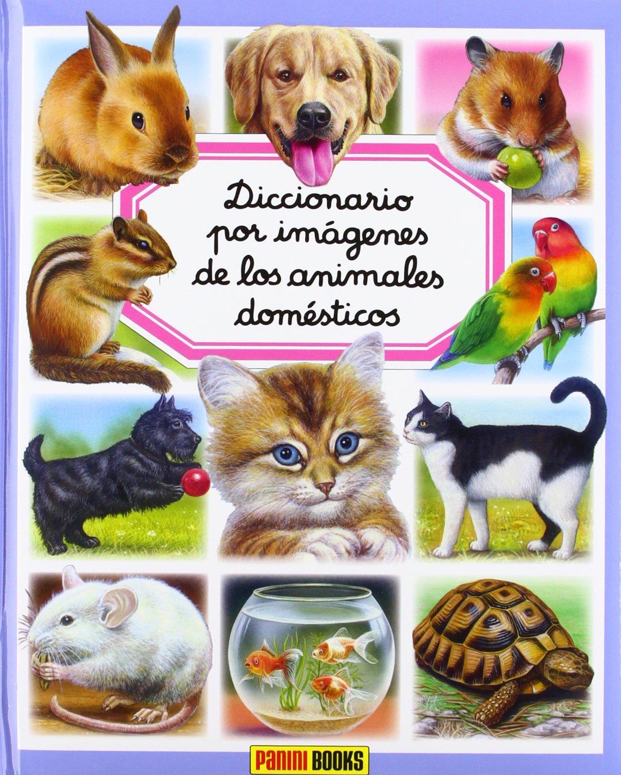 ANIMALES DOMESTICOS (DICCIONARIO POR IMAGENES) book
