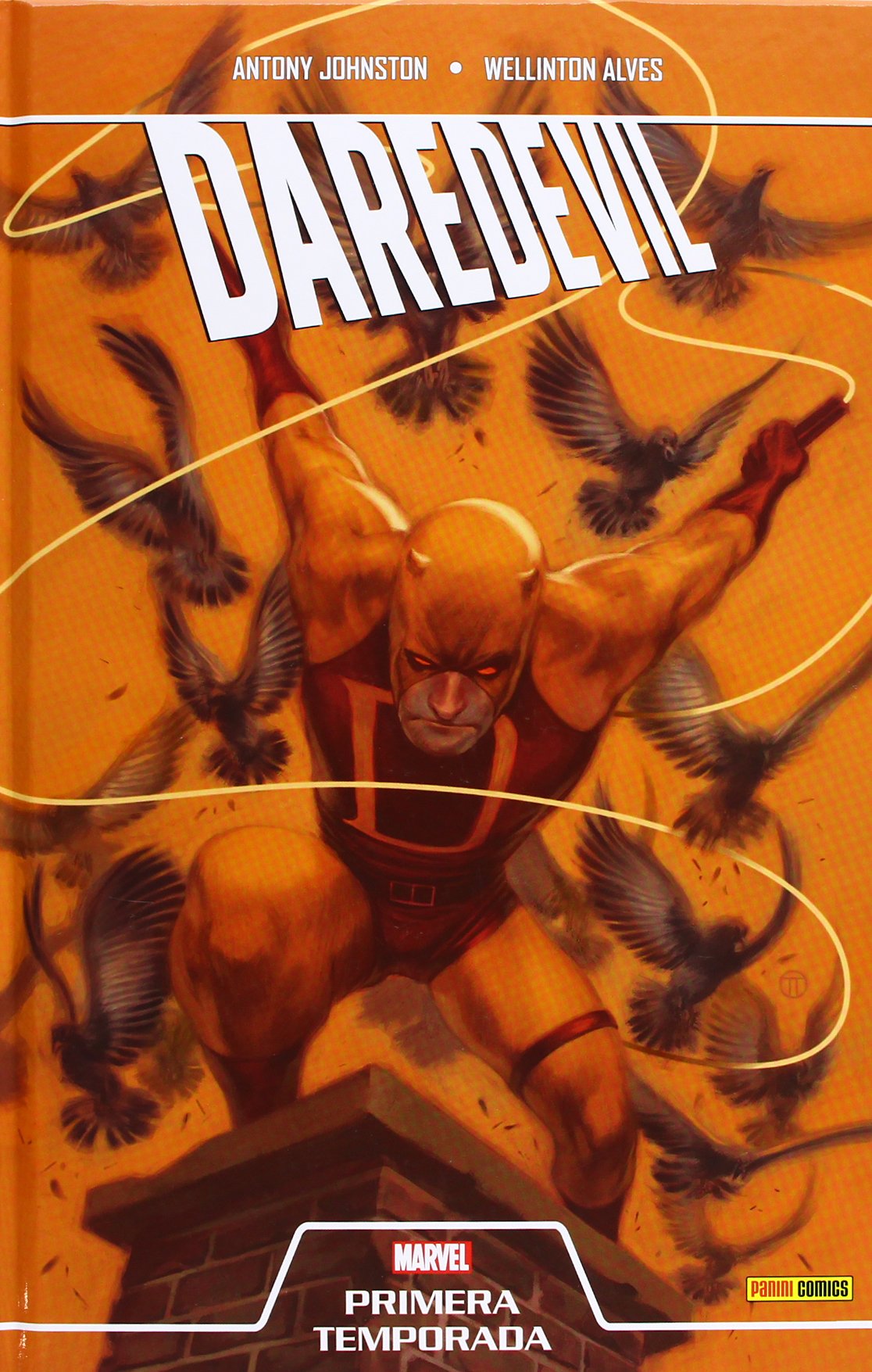 Primera Temporada: Daredevil book