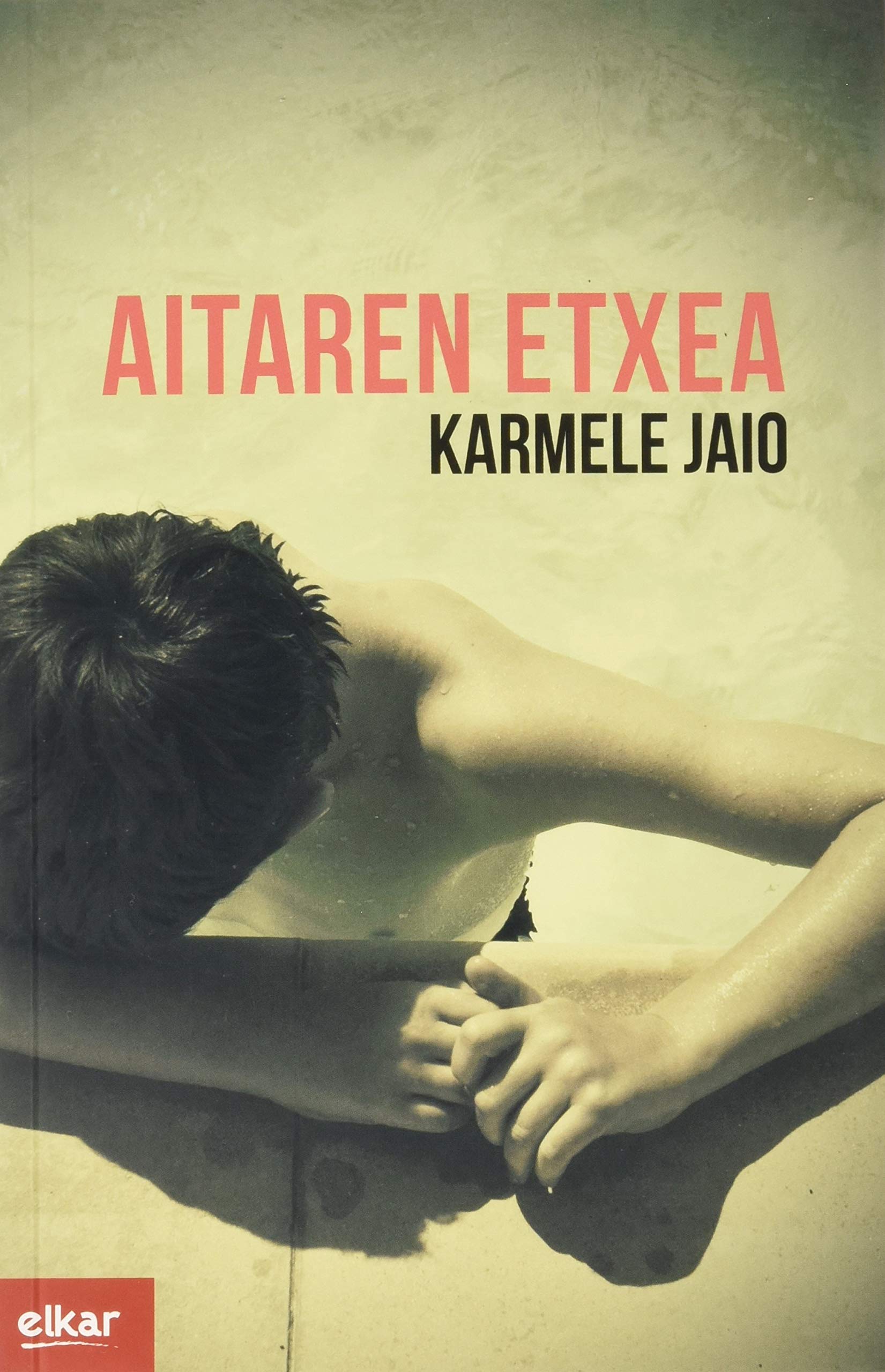 Aitaren etxea (Literatura, Band 374) Contemporary literature