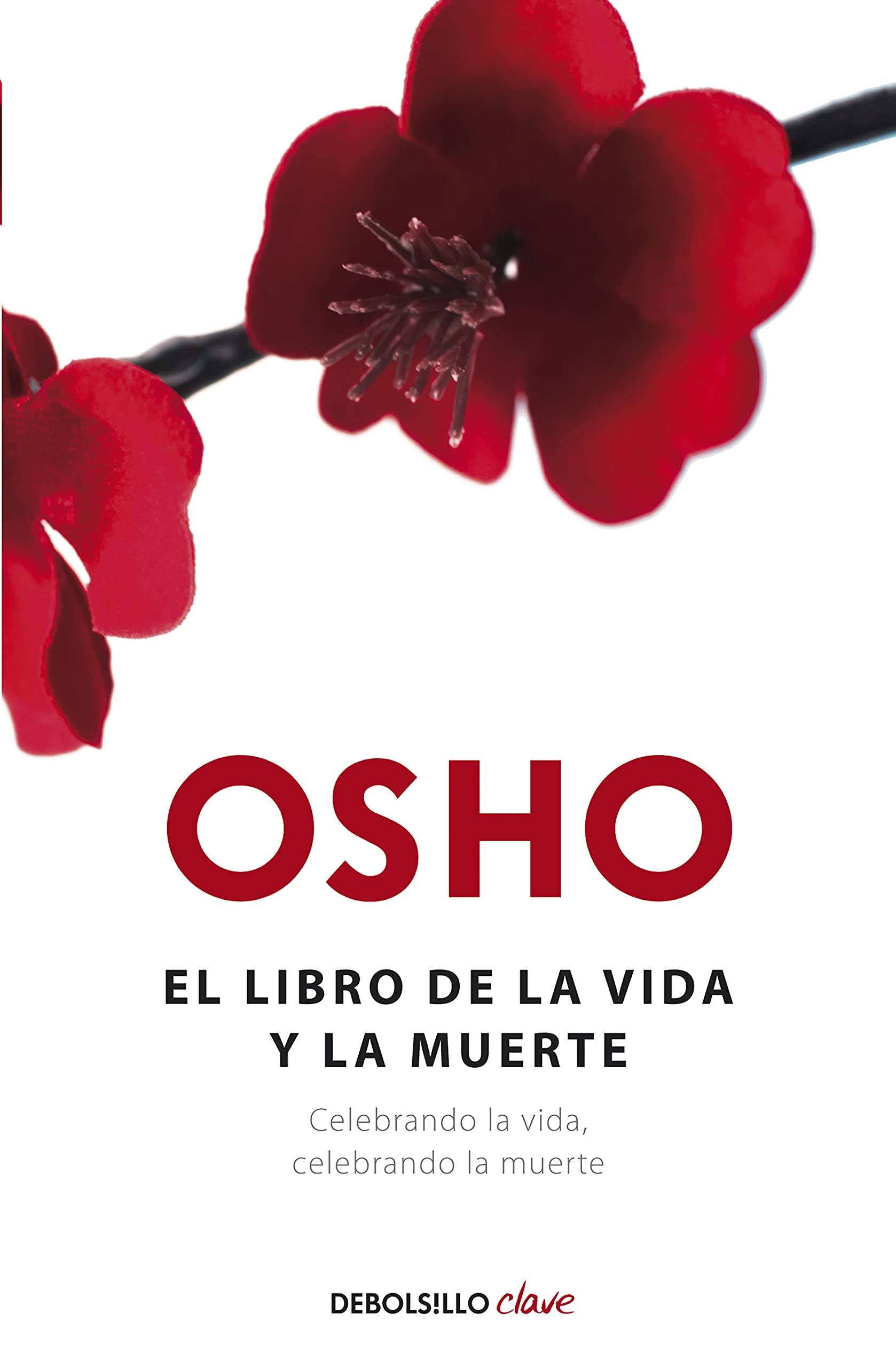 El libro de la vida y al muerte: celebrando la vida, celebrando la muerte (Clave) Death & Mourning