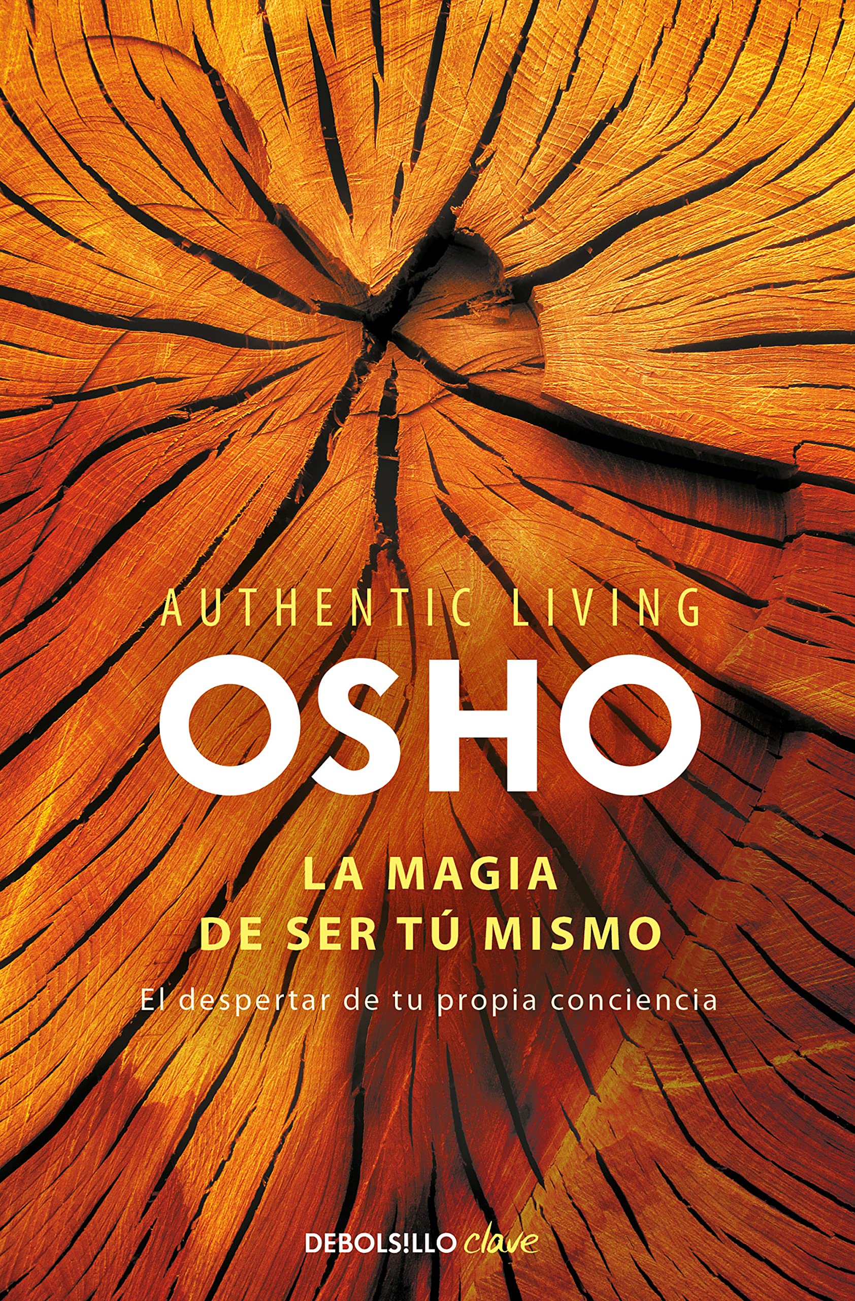 La magia de ser tú mismo: El despertar de tu propia conciencia (Clave) Politics & History