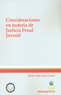 Consideraciones en Materia de Justicia Penal Juvenil Law
