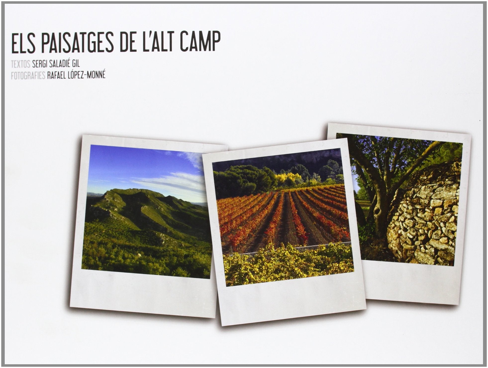 Els Paisatges de l'Alt Camp (Altres natura) Books