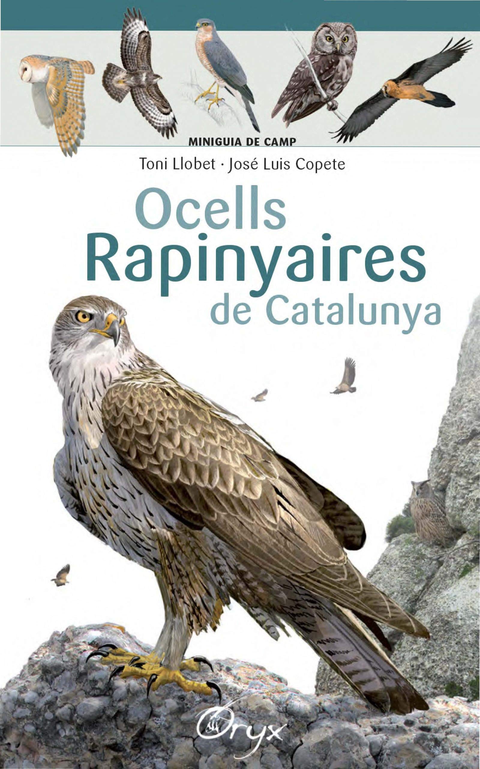 Ocells rapinyaires de Catalunya (Miniguia de camp) Natural Sciences