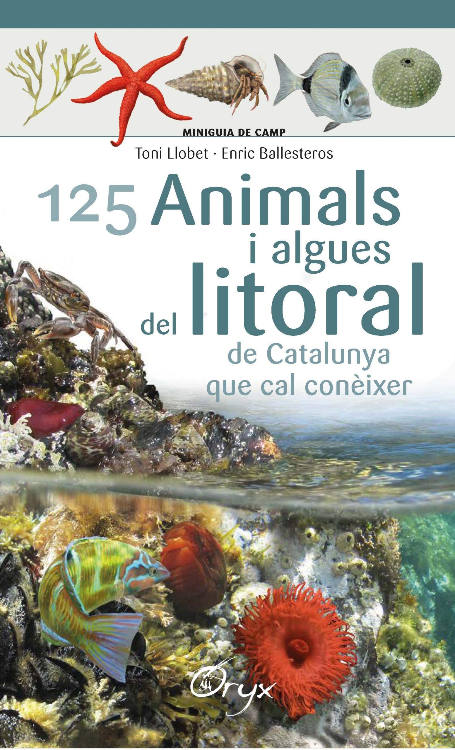 125 animals i algues del litoral de Catalunya: que cal conèixer (Miniguia de camp) Natural Sciences