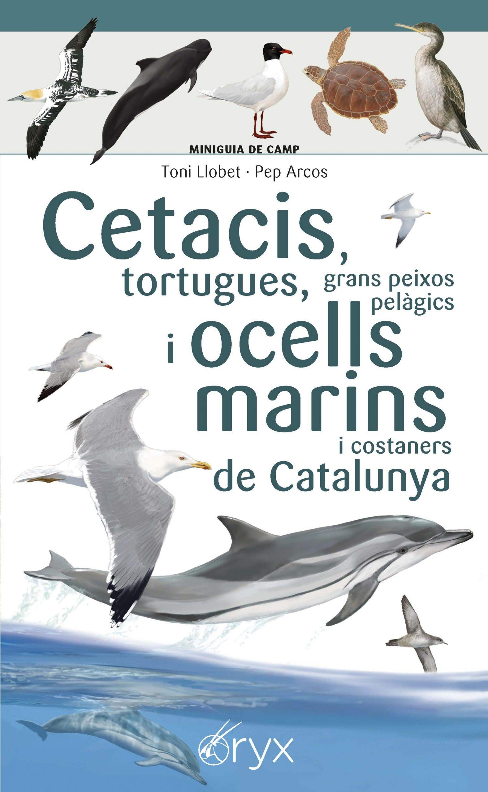 Cetacis, tortugues, grans peixos pelàgics i ocells marins de Catalunya (Miniguia de camp) Natural Sciences