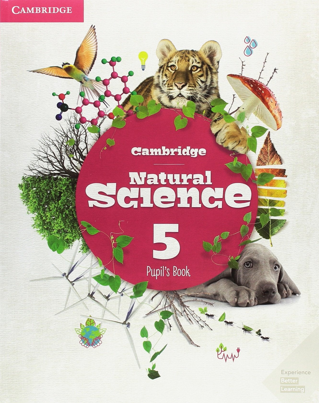 Cambridge Natural and Social Science Level 5 Pupil's Book Pack book