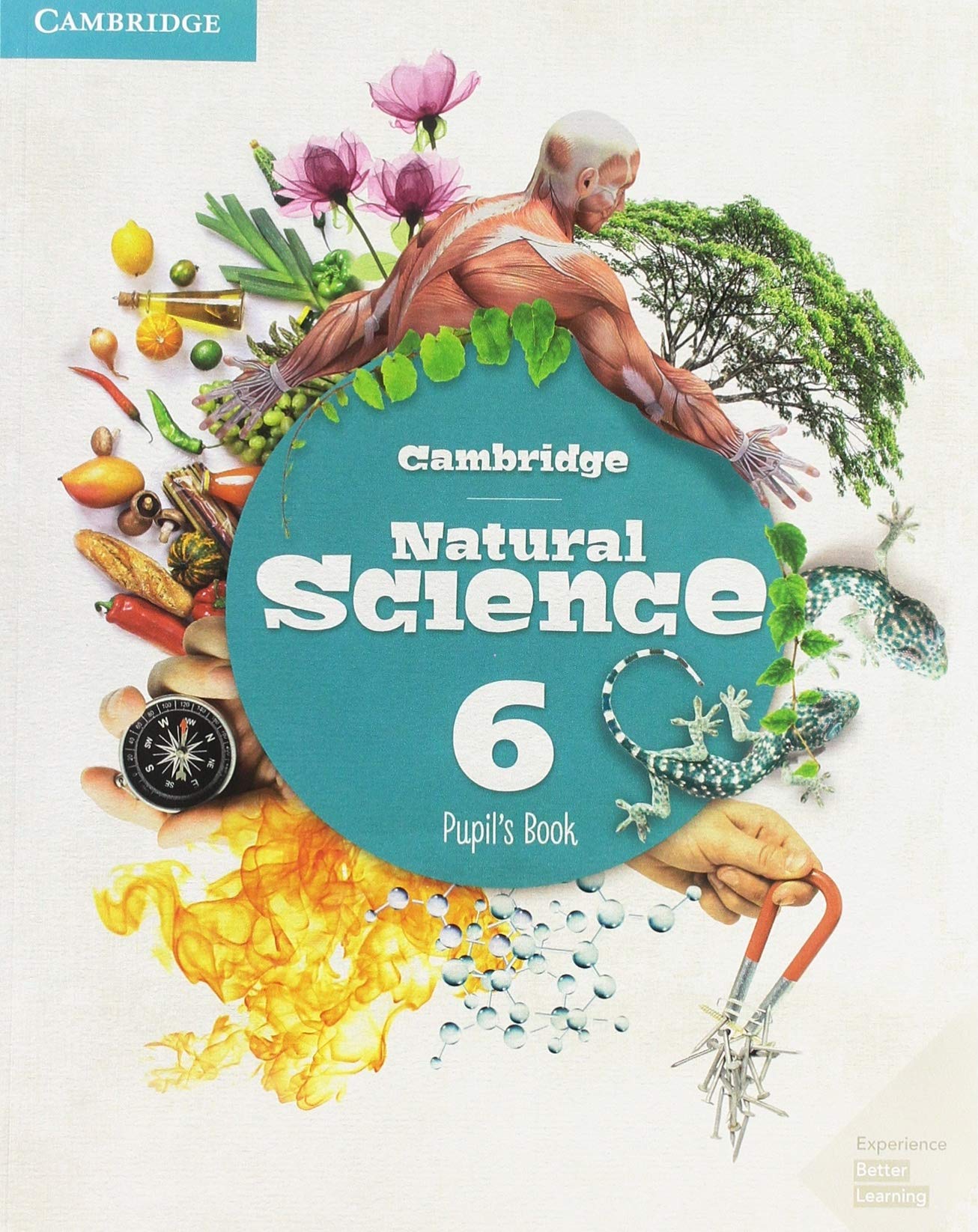 Cambridge Natural Science Level 6 Pupil's Book book