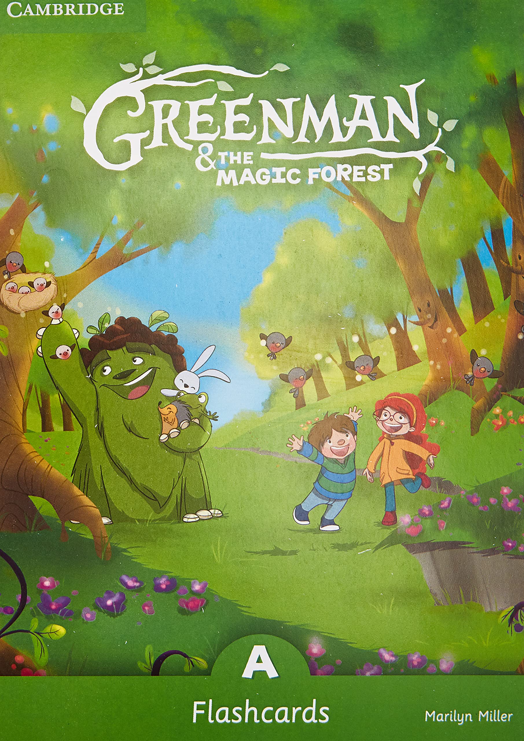 Greenman and the Magic Forest A Flashcards (Pack of 48) book