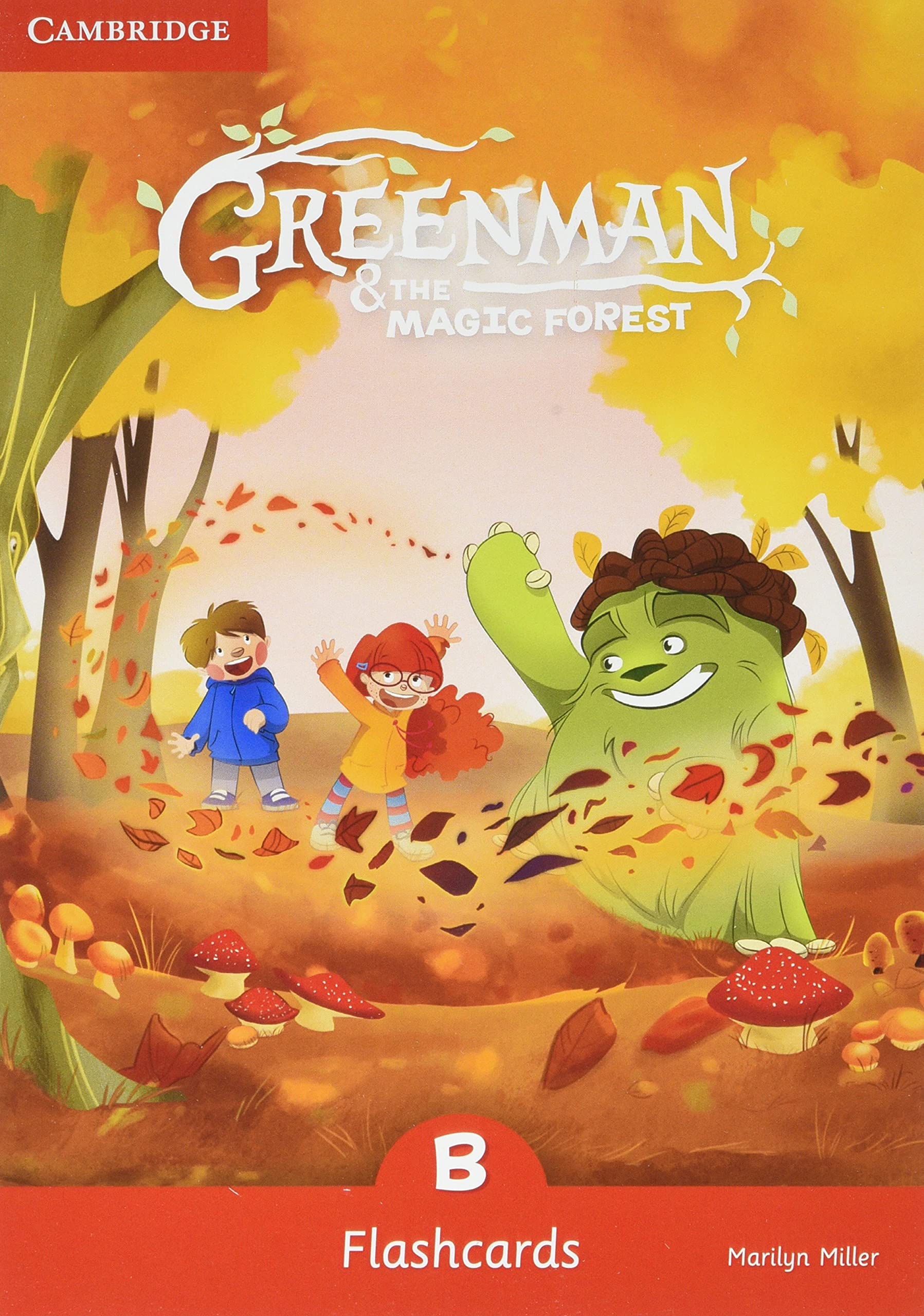 Greenman and the Magic Forest B Flashcards (Pack of 48) book