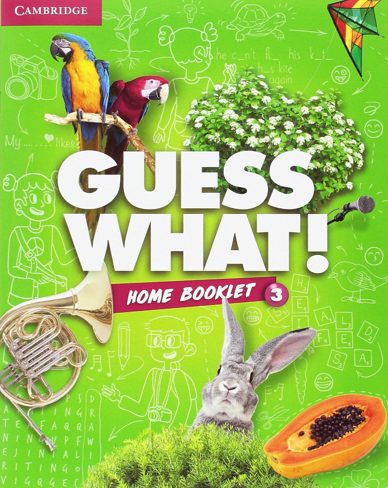 Guess What! Level 3 Activity Book with Home Booklet and Online Interactive Activities Spanish Edition book