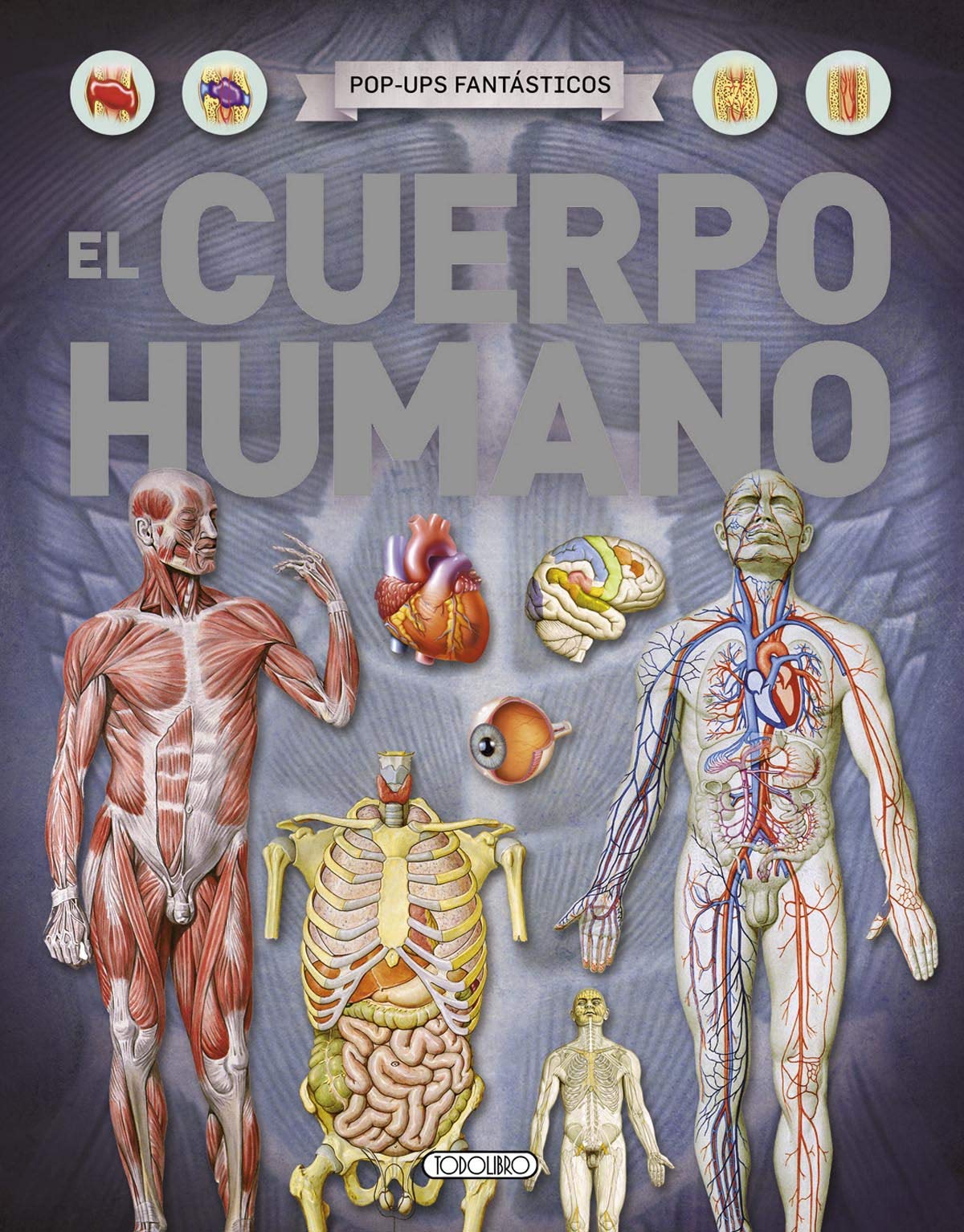 El cuerpo humano book