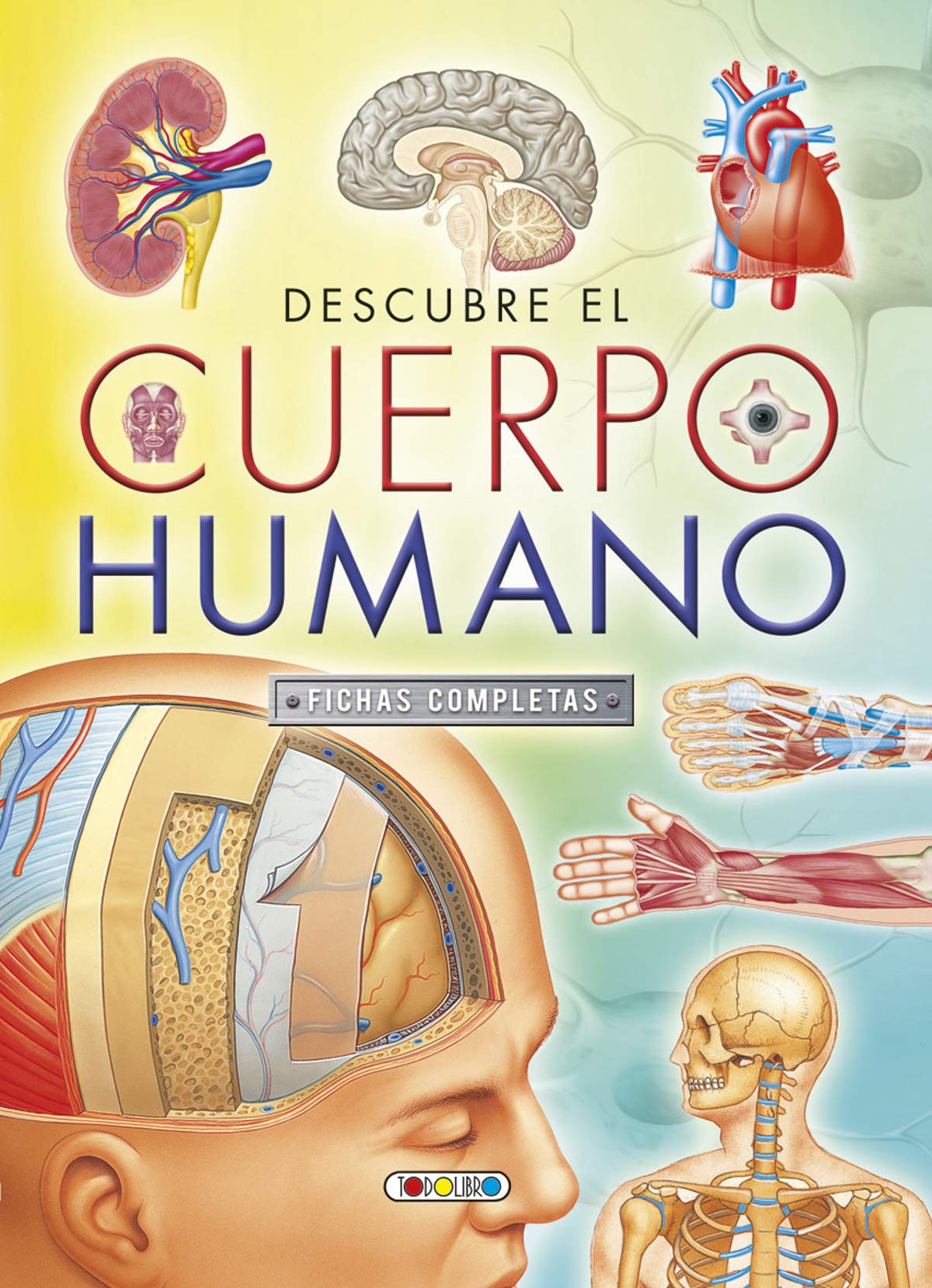 Descubre el cuerpo humano book