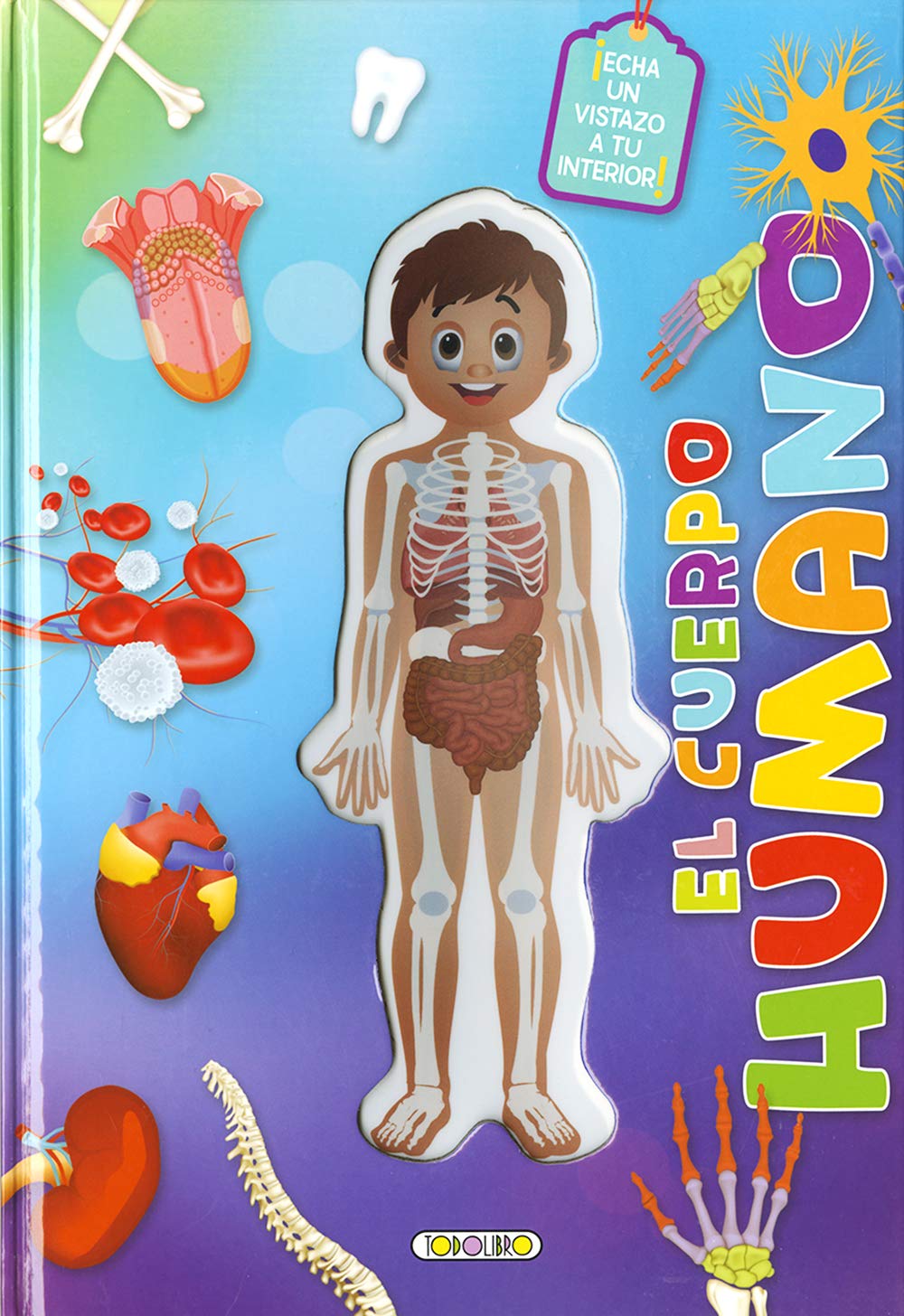 El cuerpo humano¡Echa un vistazo a tu interior book
