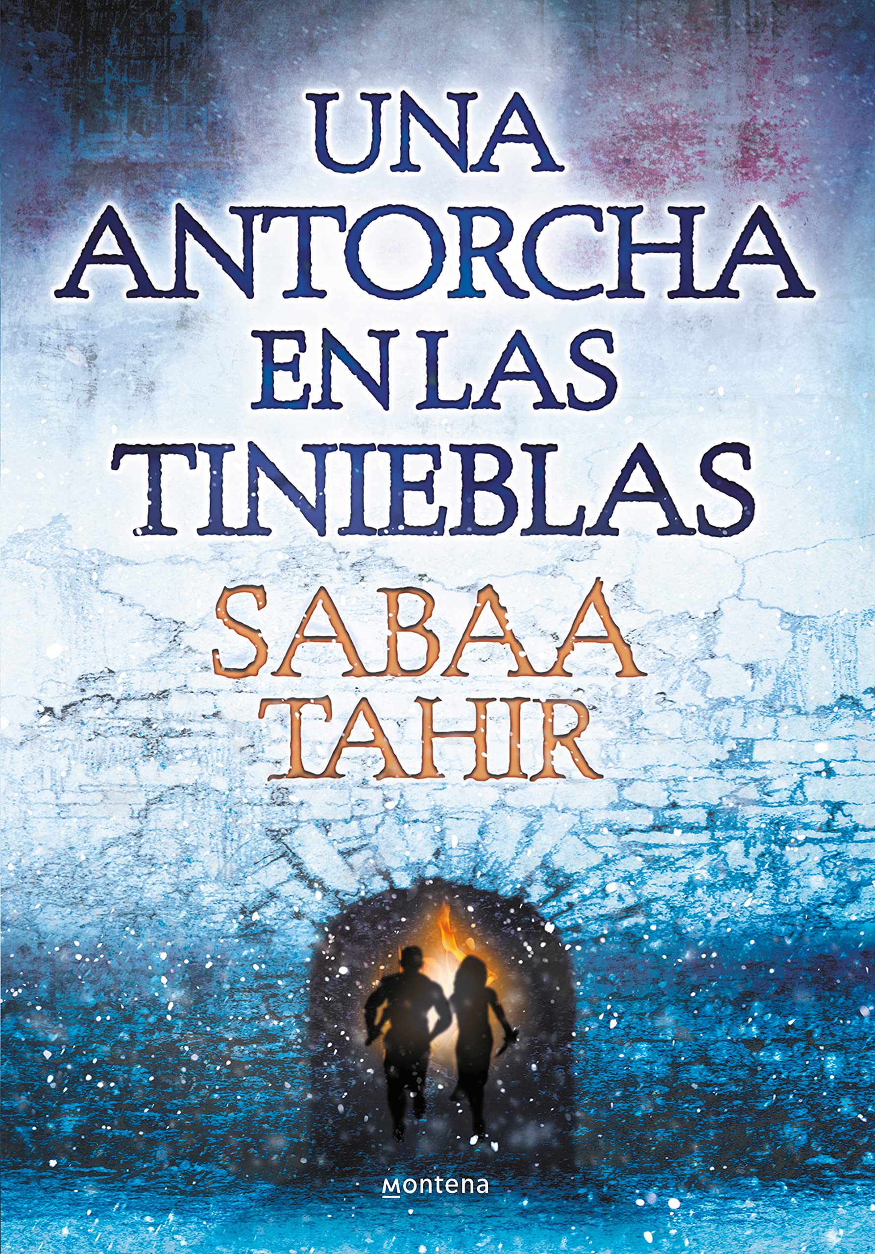 Una Antorcha En Las Tinieblas / A Torch Against the Night book