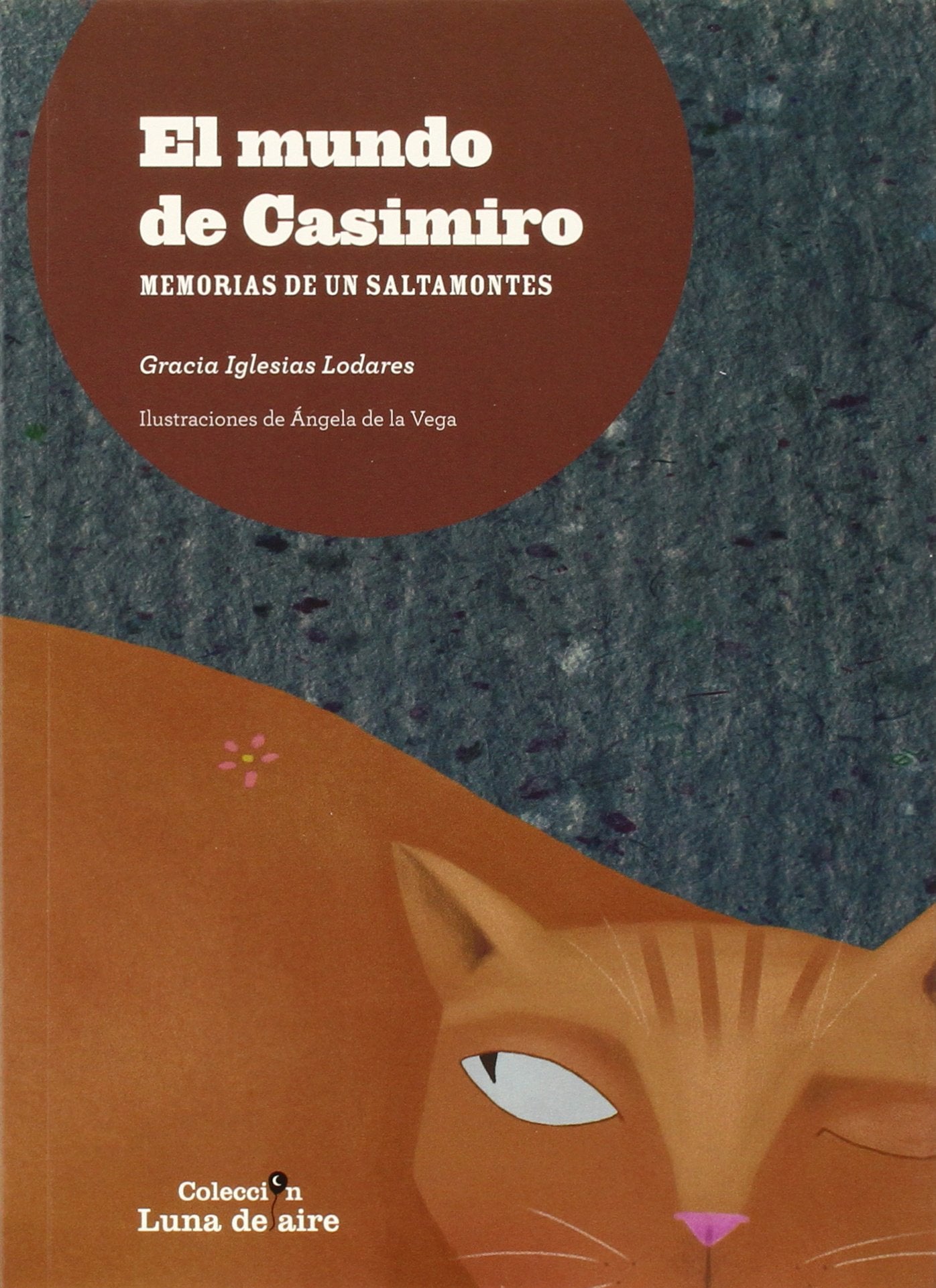 El mundo de Casimiro. Memorias de un saltamontes book