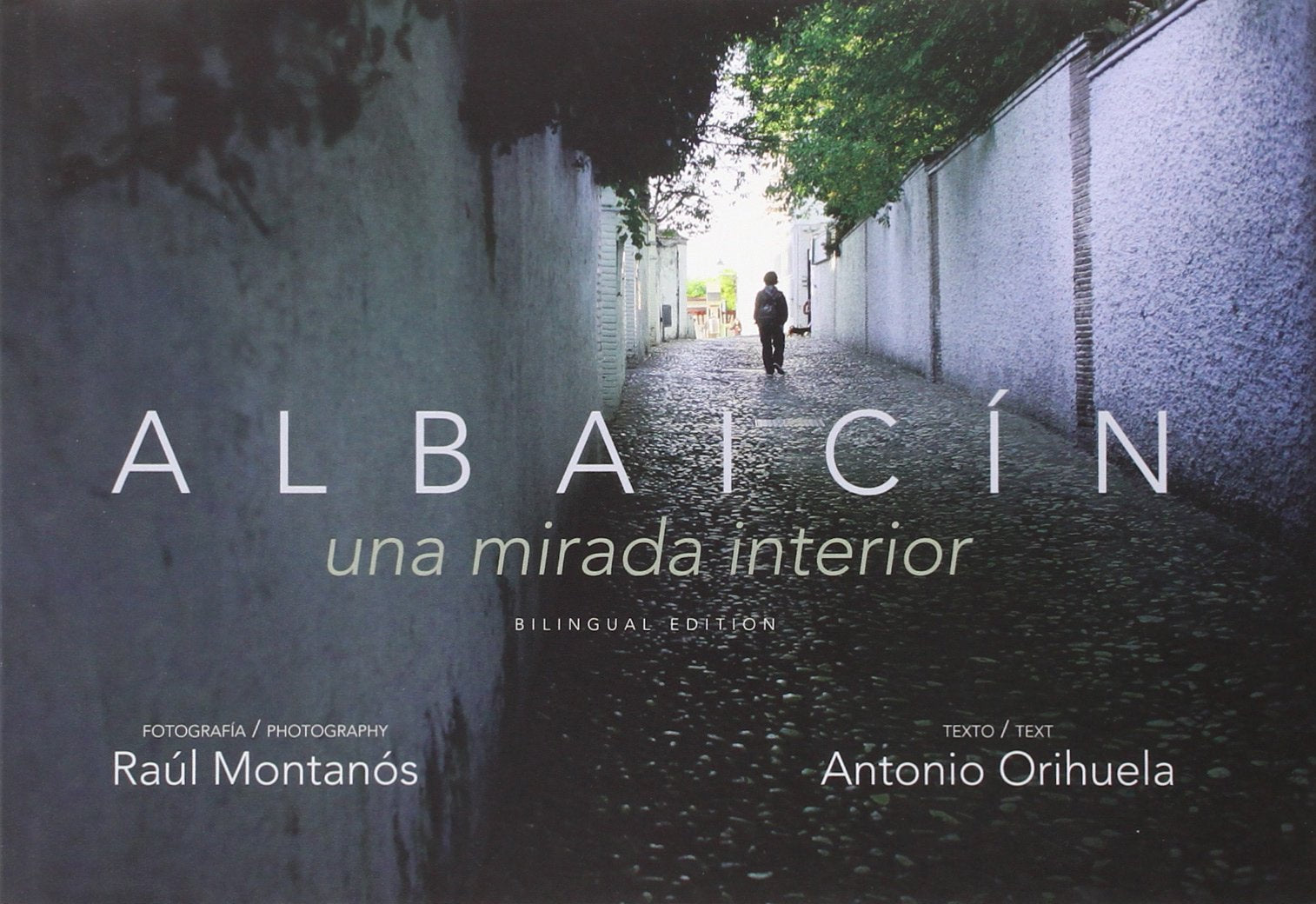 Albaicín, una mirada interior book