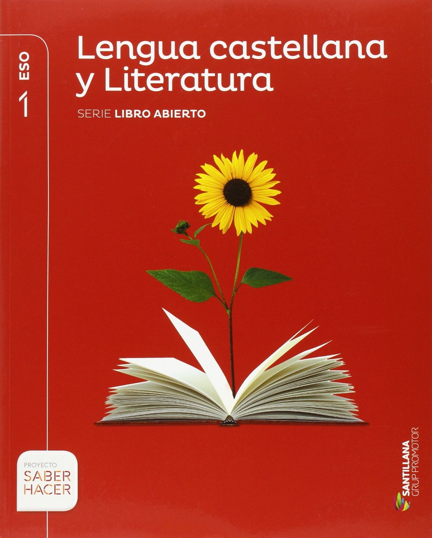 LENGUA CASTELLANA Y LITERATURA SERIE LIBRO ABIERTO 1 ESO SABER HACER Non-fiction