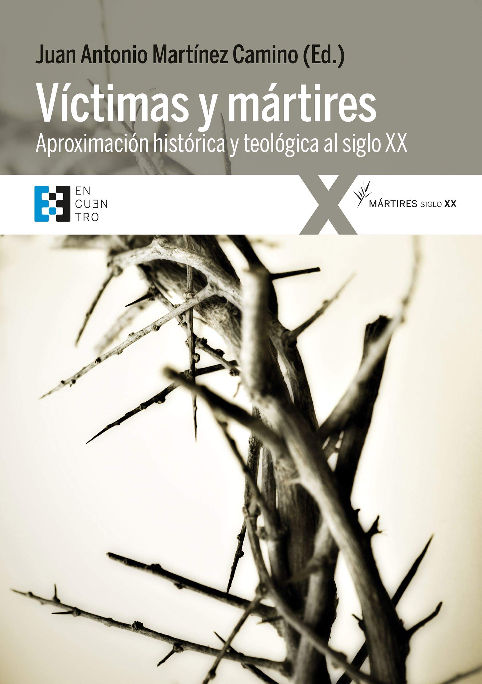 Victimas y Martires. Aproximacion Histo book