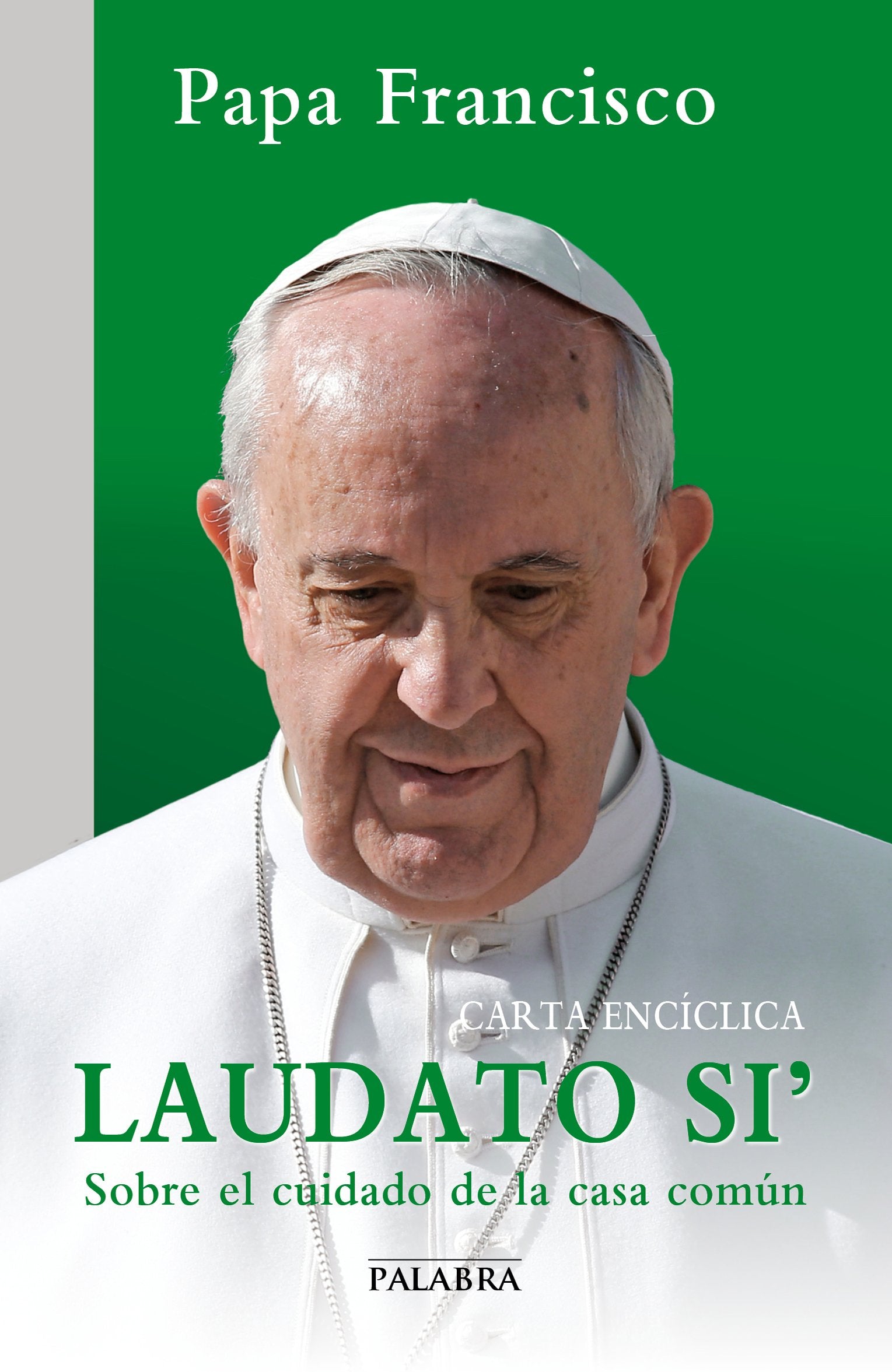 Laudato si': Carta encíclica sobre el cuidado de la casa común (Documentos MC) Books