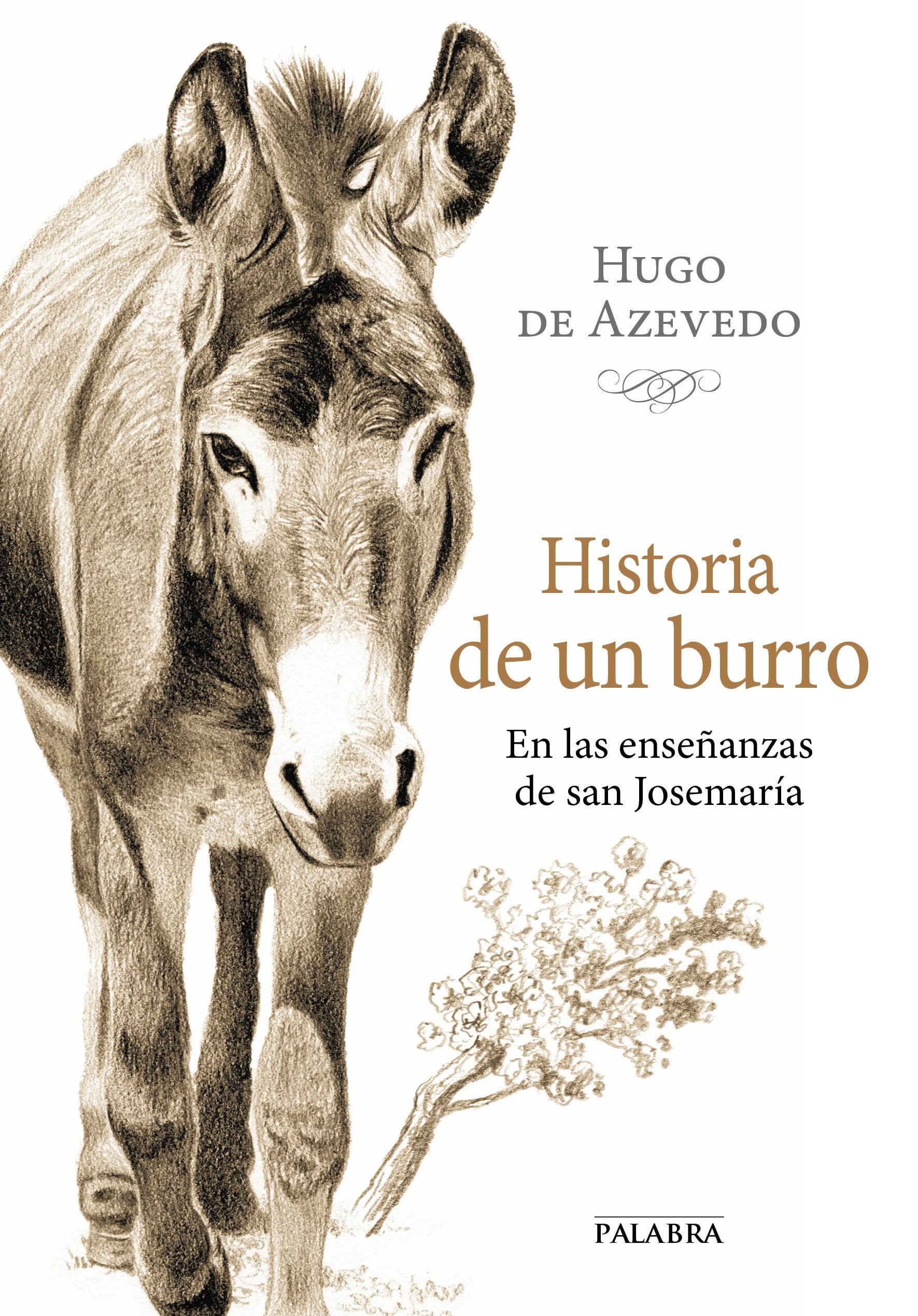 Historia de un burro: En las enseñanzas de san Josemaría book