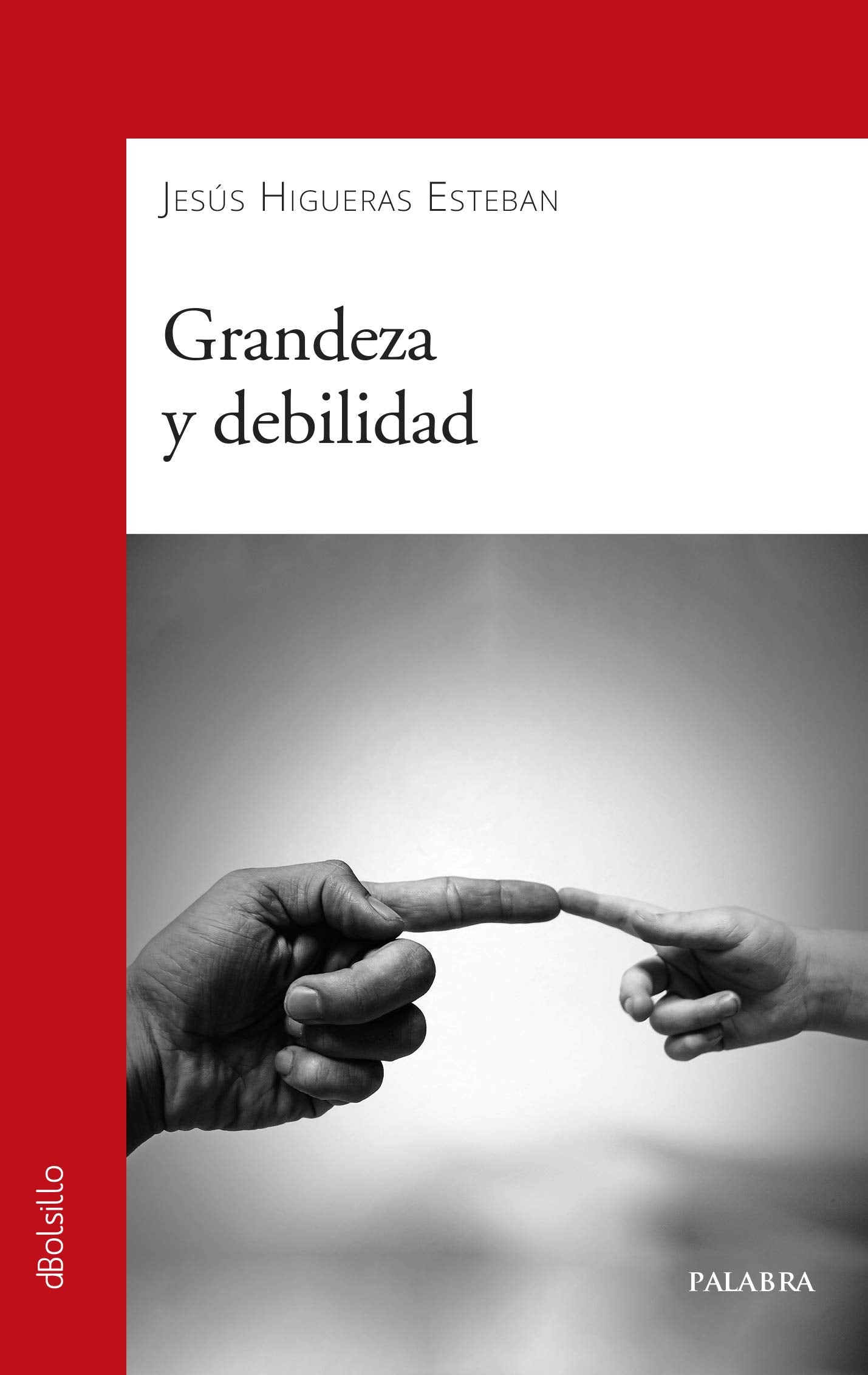 Grandeza y debilidad book