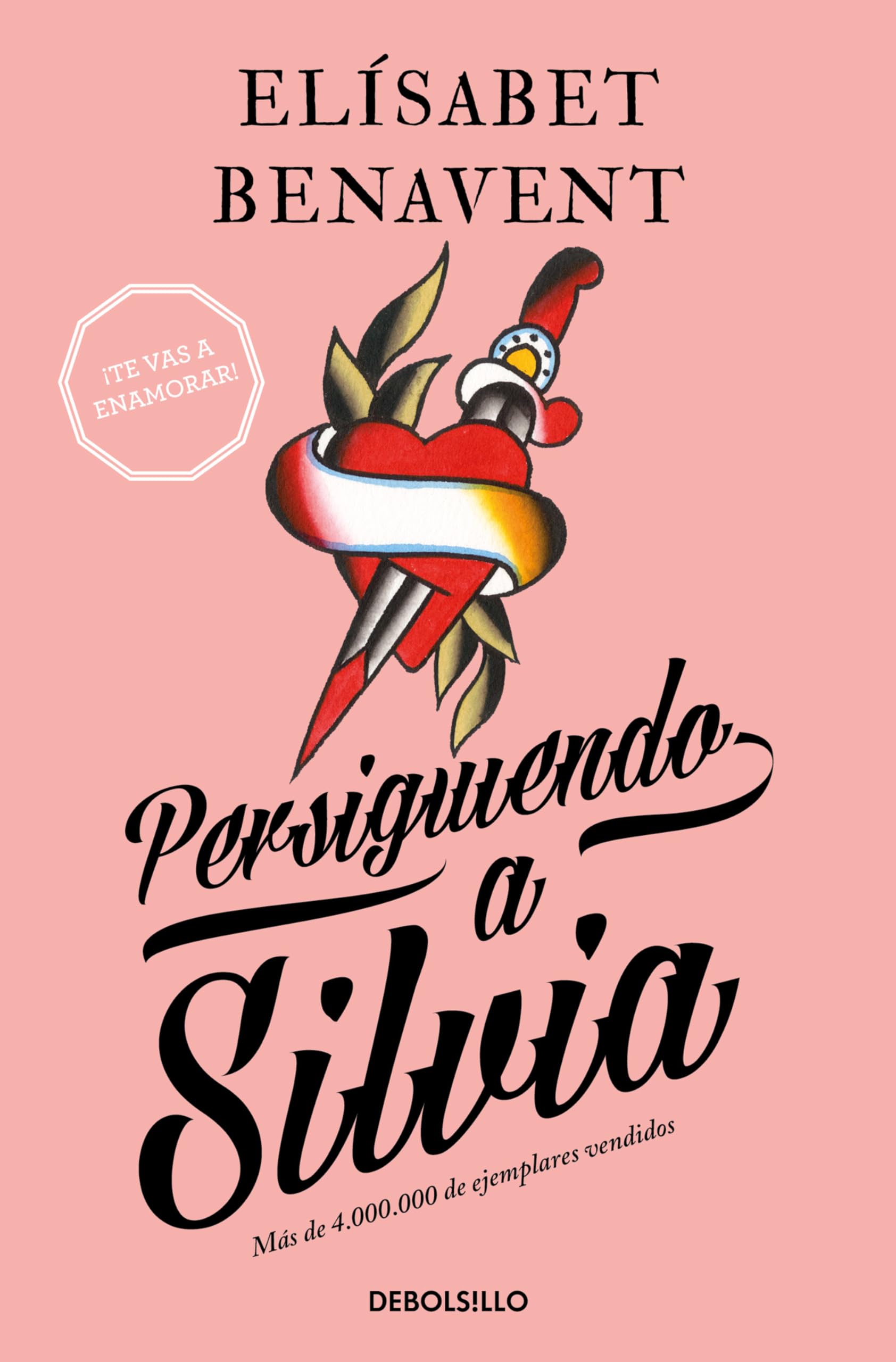 Persiguiendo a Silvia / Chasing Silvia (Silvia Serie, Band 1) Contemporary literature