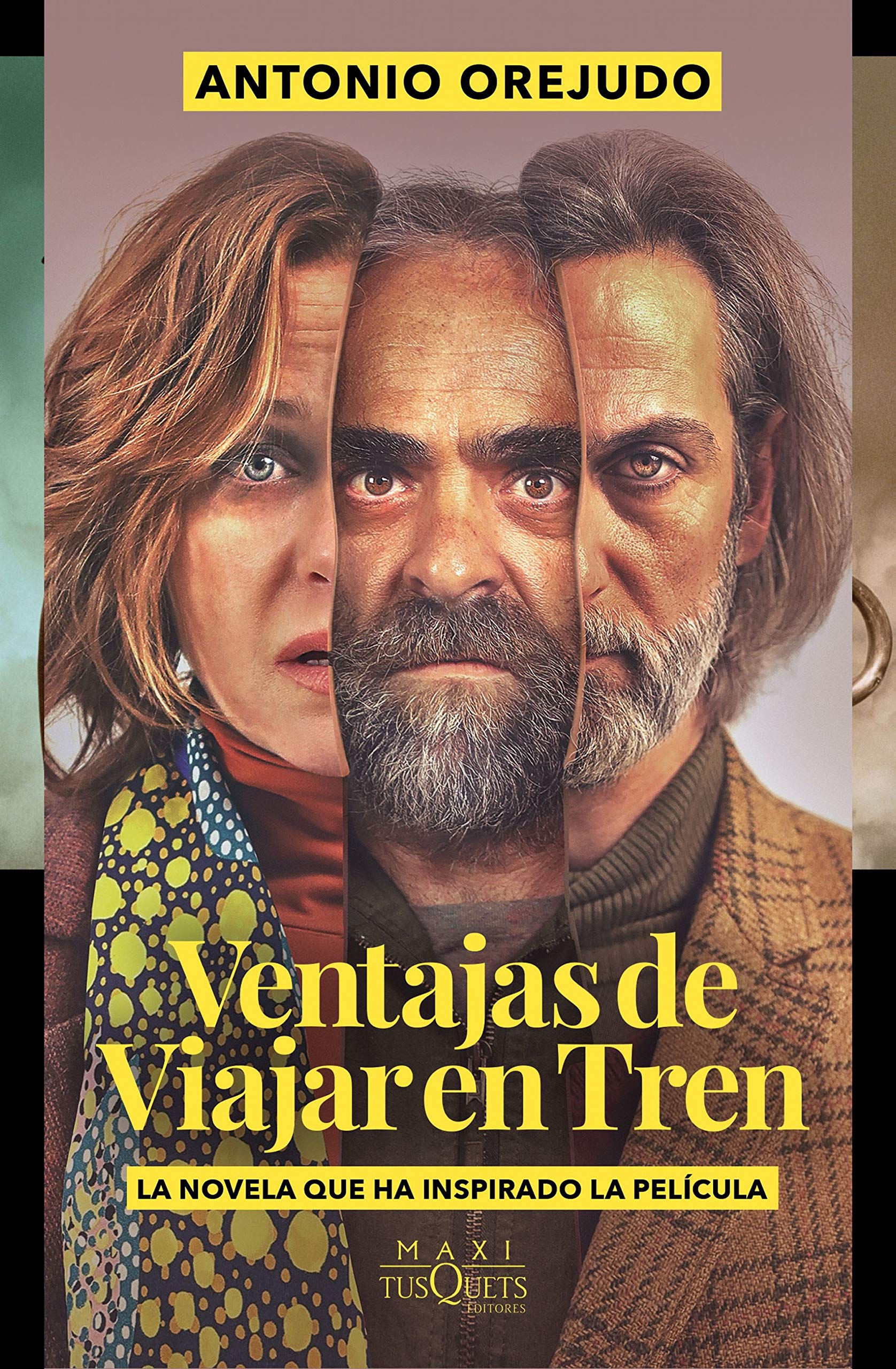 Ventajas de viajar en tren book