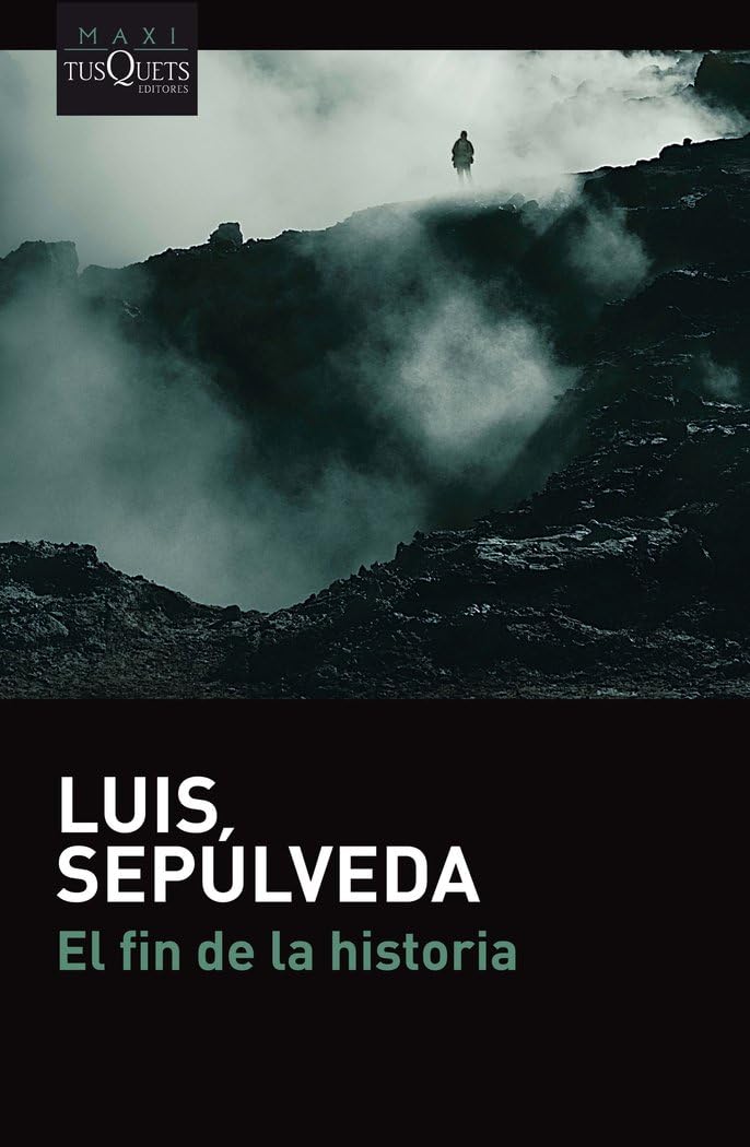 El fin de la historia (MAXI, Band 13) Contemporary literature