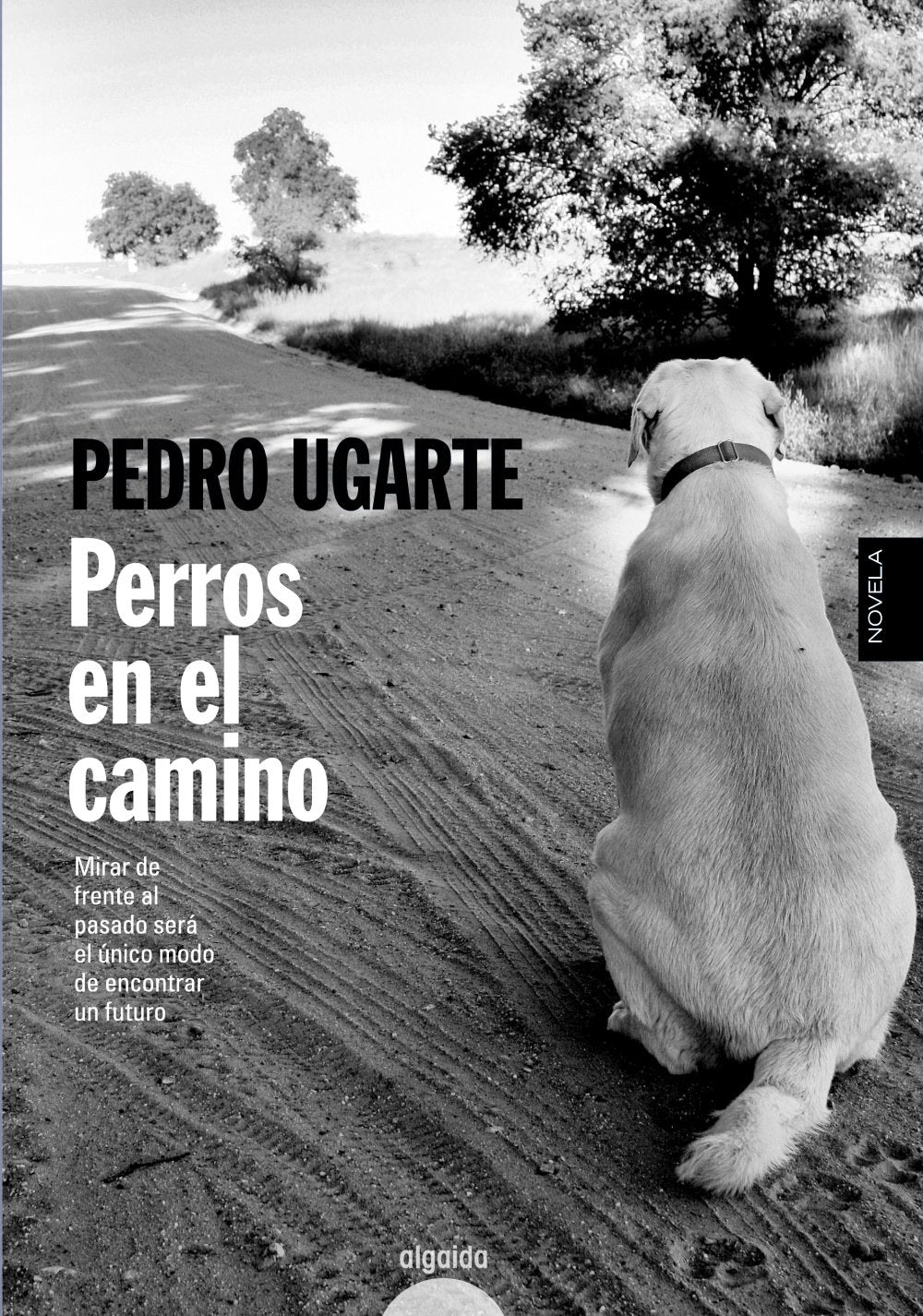 Perros en el camino (ALGAIDA LITERARIA - ALGAIDA NARRATIVA) Contemporary literature