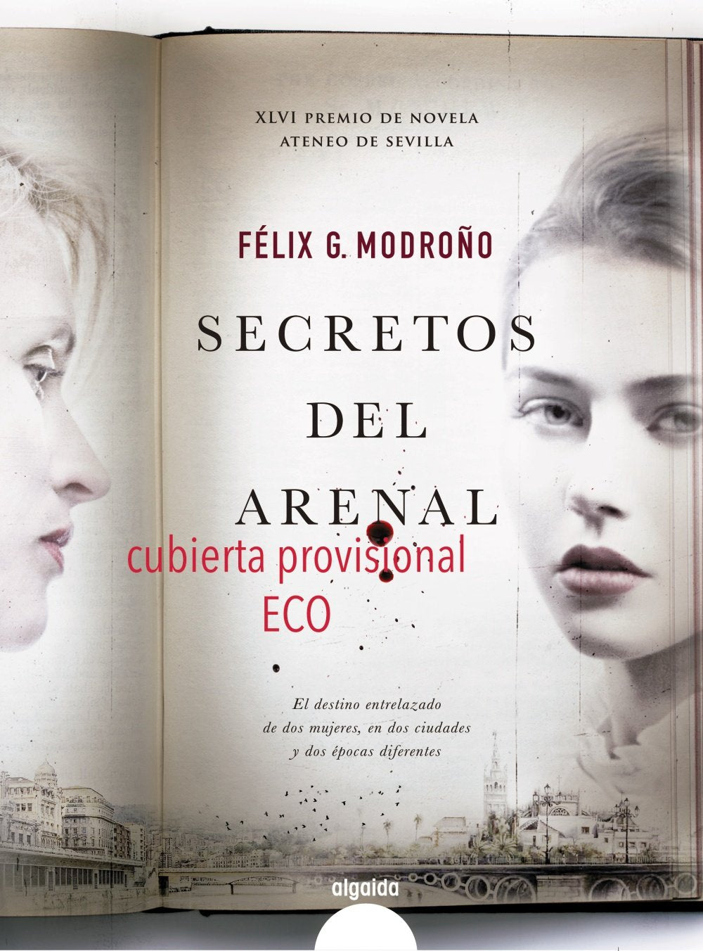 Secretos del Arenal book