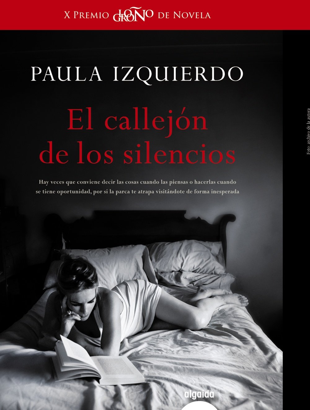 El callejón de los silencios book