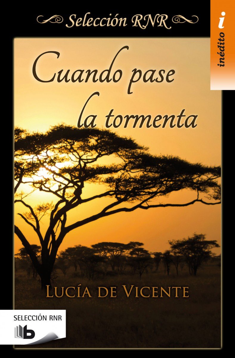 Cuando pase la tormenta (Ficción) Contemporary literature