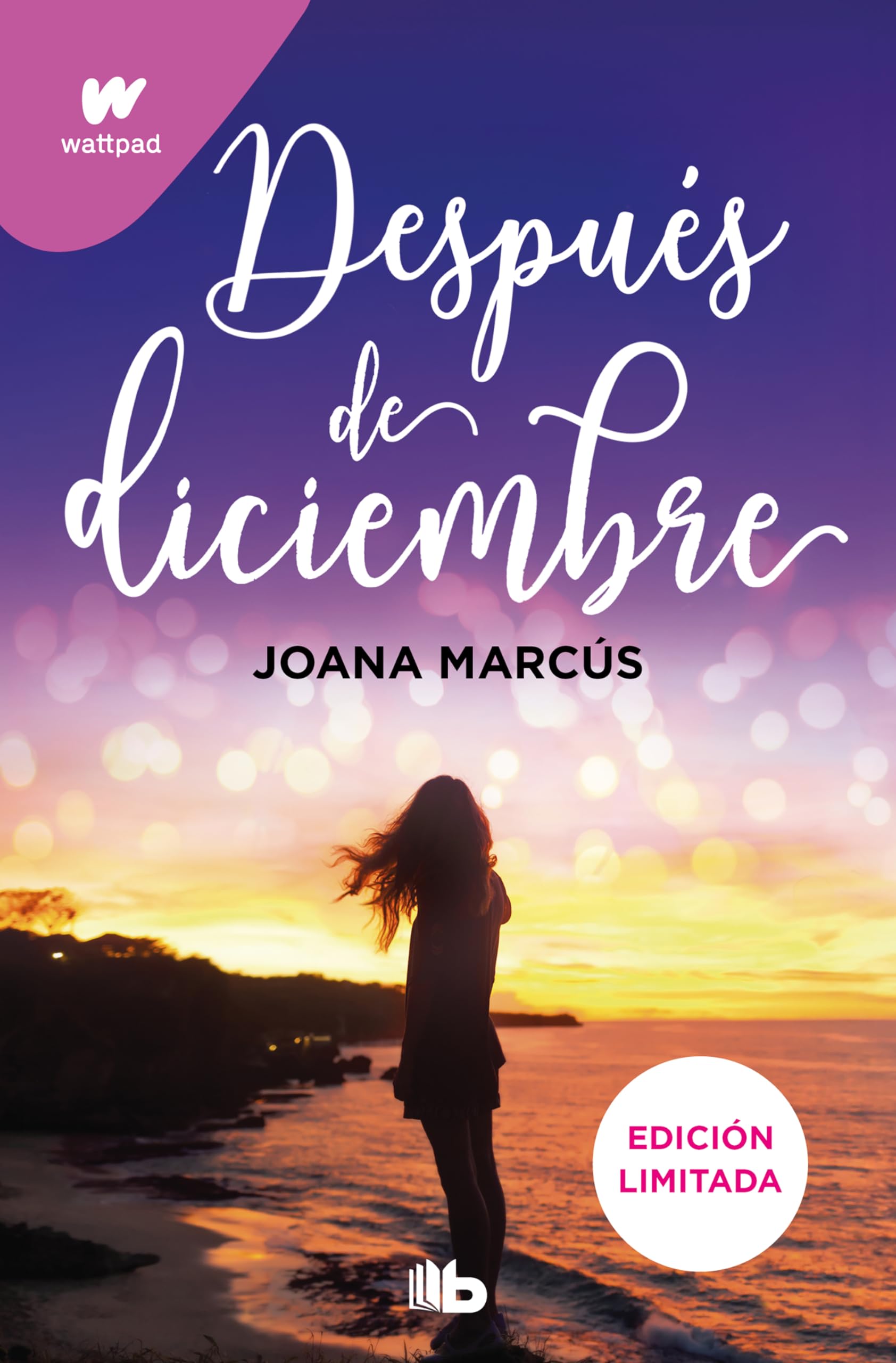 Después de diciembre (edición revisada por la autora) (edición limitada) (Meses a tu lado 2) (Ficción, Band 2) Romance