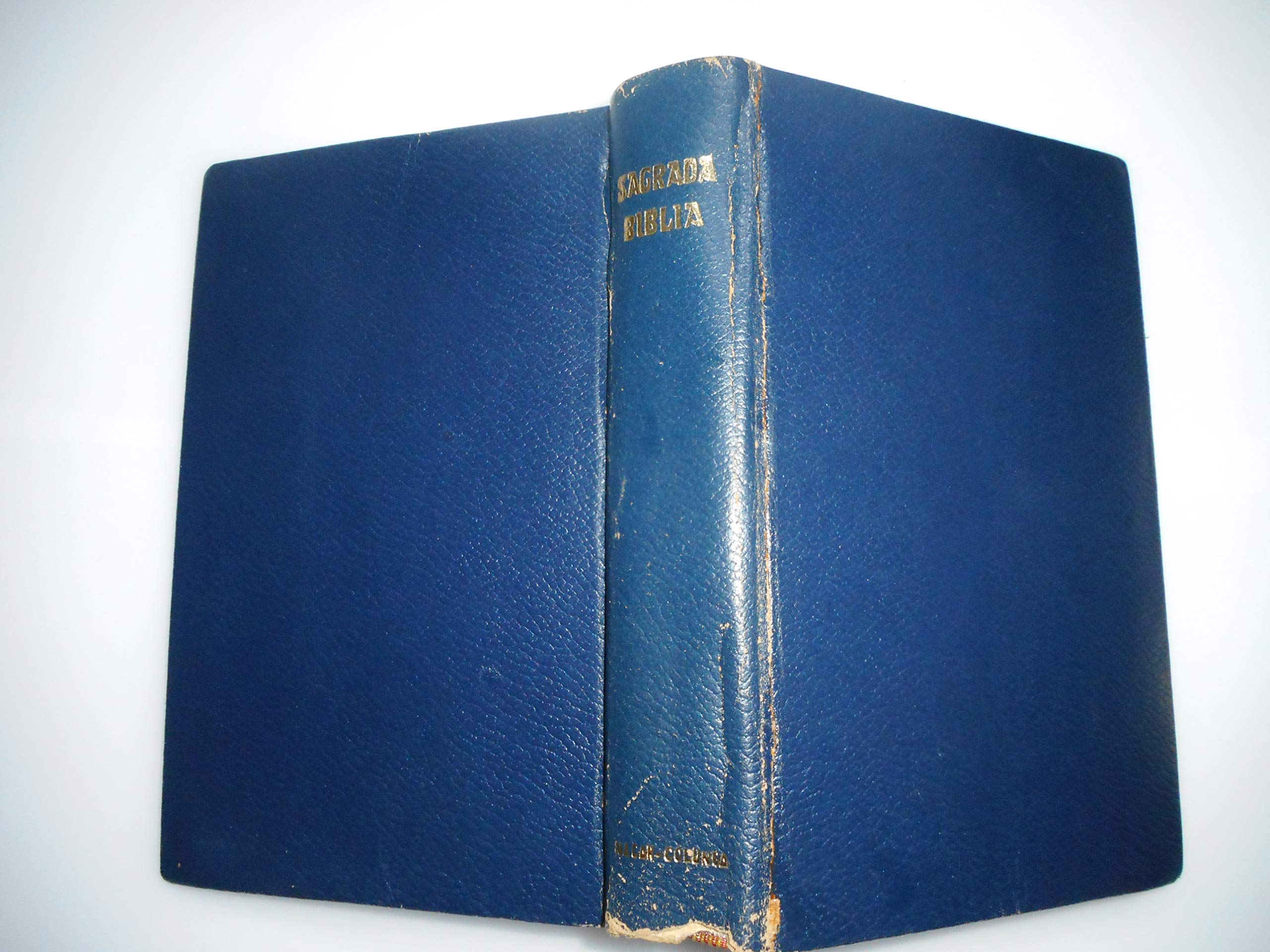 La Biblia: 15 x 10 (La Biblia. Palabra de Vida) Religion & Esotericism