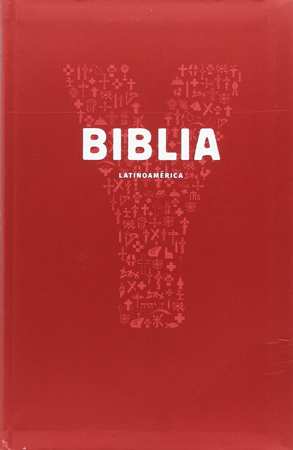 Y-BIBLIA: Biblia de la Iglesia católica para los jóvenes (Proyecto YOUCAT) Books