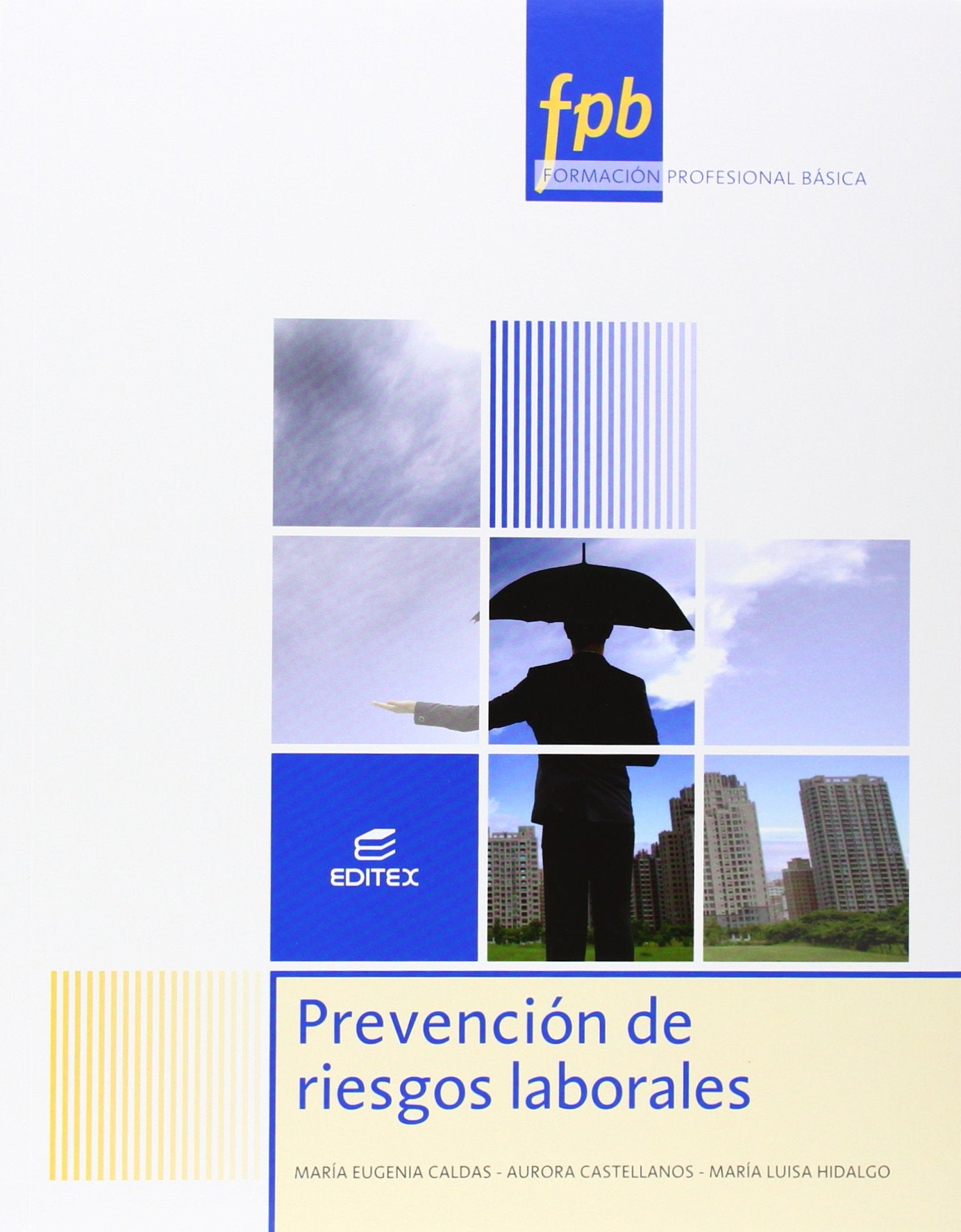 Prevención de riesgos laborales (Formación Profesional Básica) Professional & Reference Books