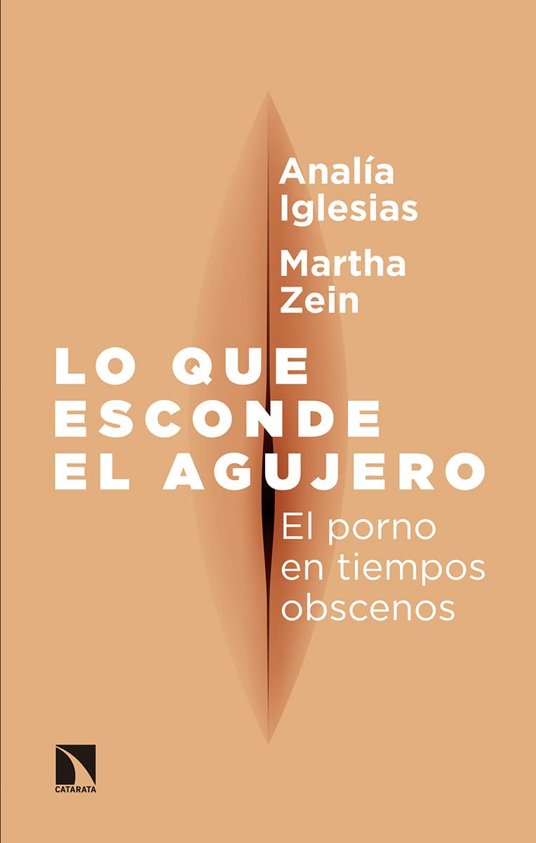 Lo que esconde el agujero: El porno en tiempos obscenos book