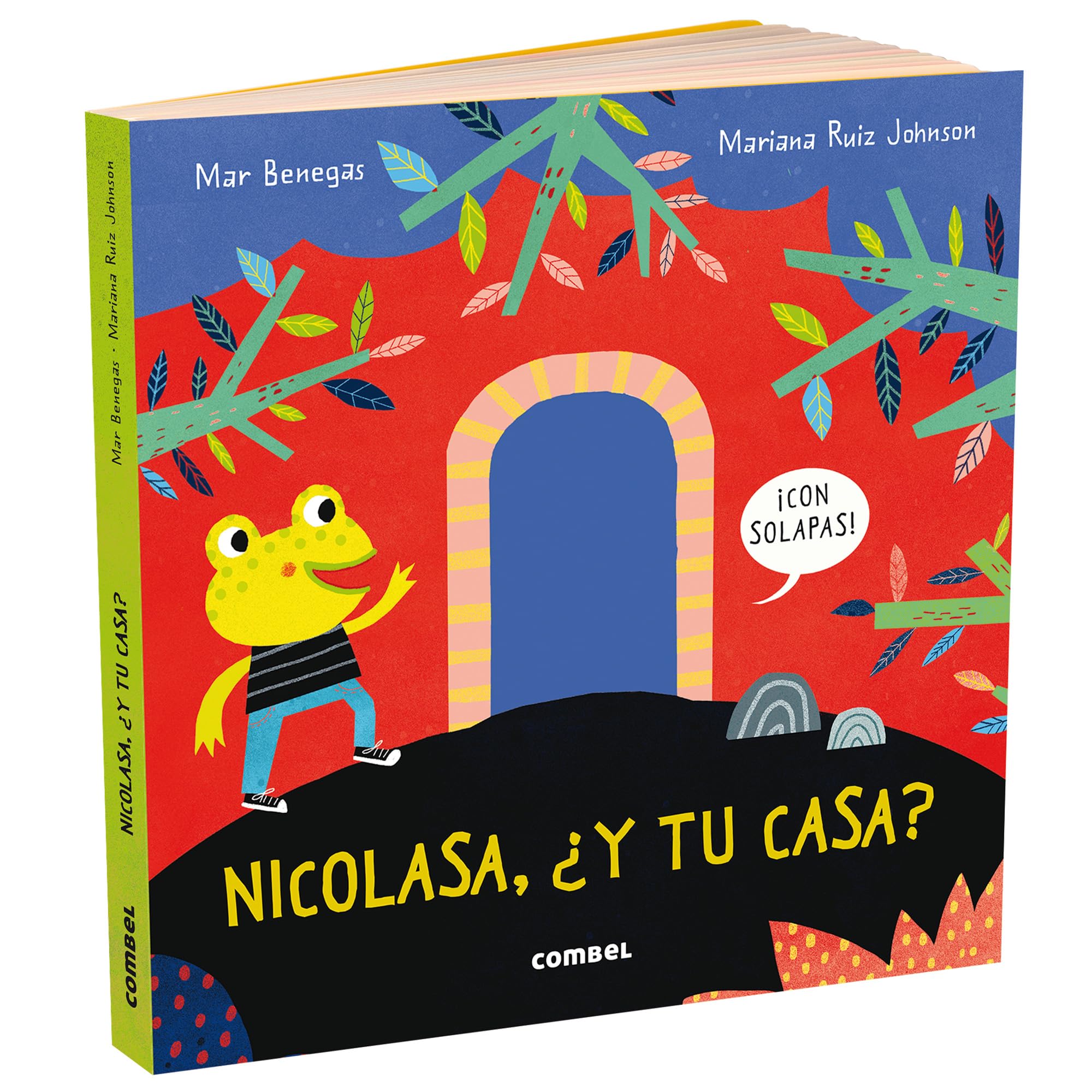 Nicolasa, ¿y tu casa?/ Nicolasa, and your house? book