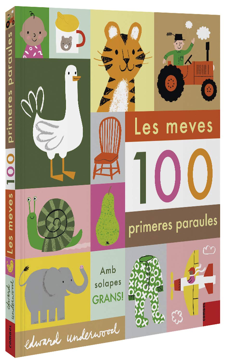 Les meves 100 primeres paraules book