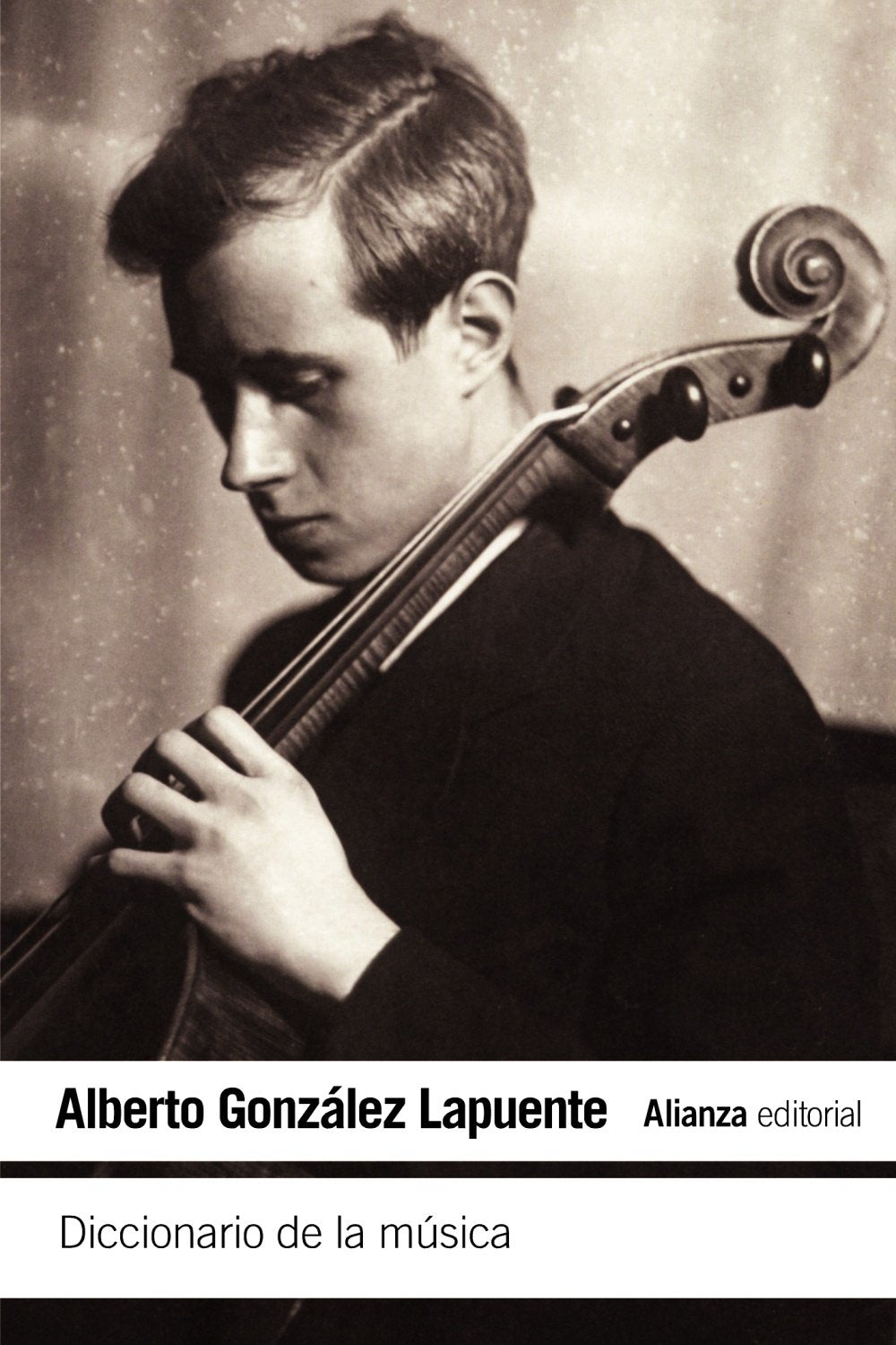 Diccionario de la música book
